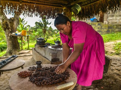 Chocolate making, Belize