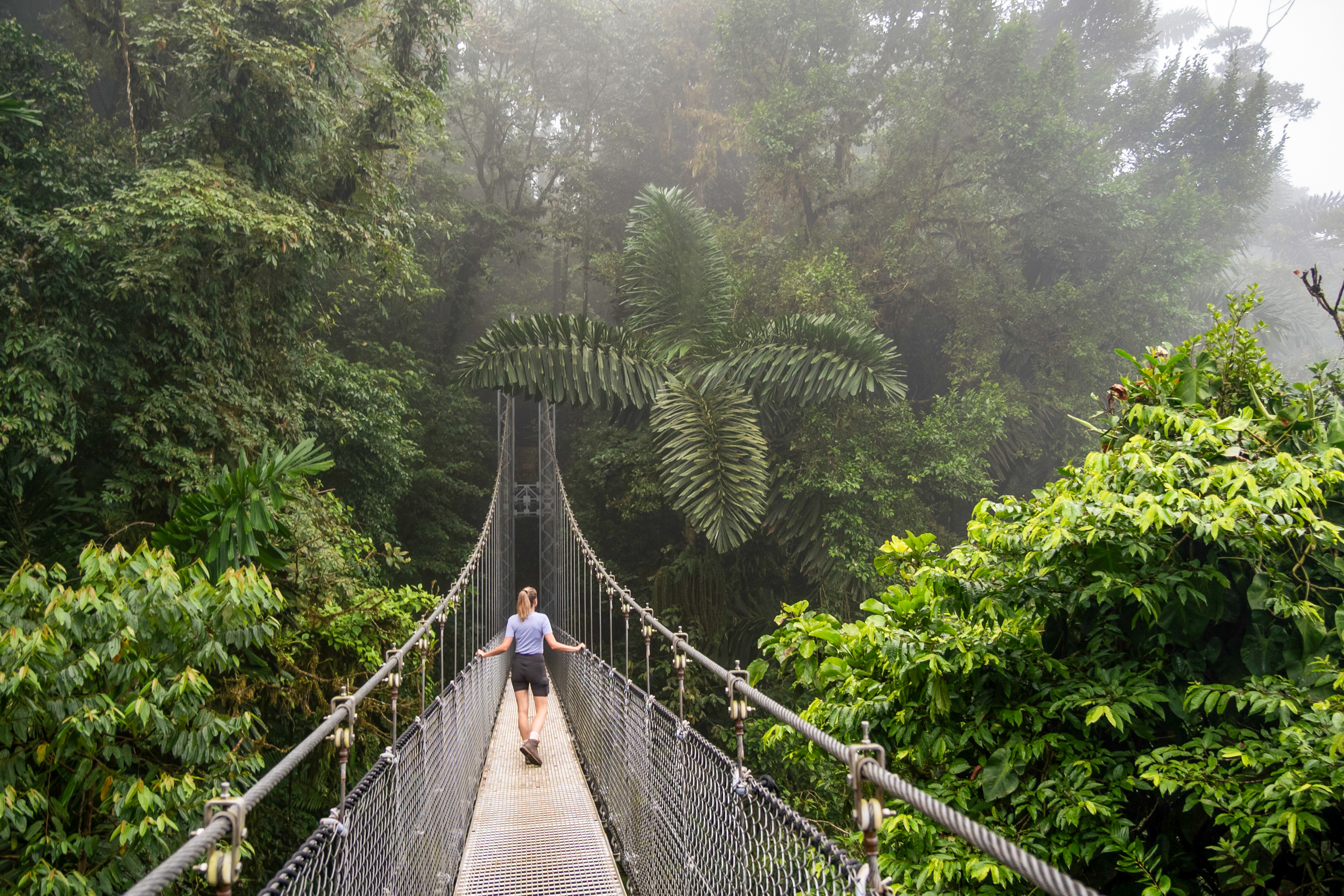 Mistico Hanging Bridges, Arenal National Park, Costa Rica Mistico Hanging Bridges, Arenal National Park, Costa Rica