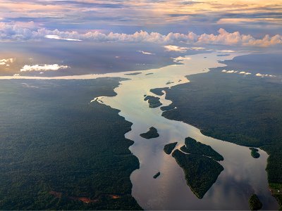 Guyana Rainforest Basin