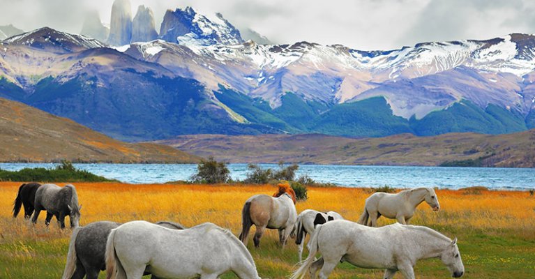 Torres del Paine