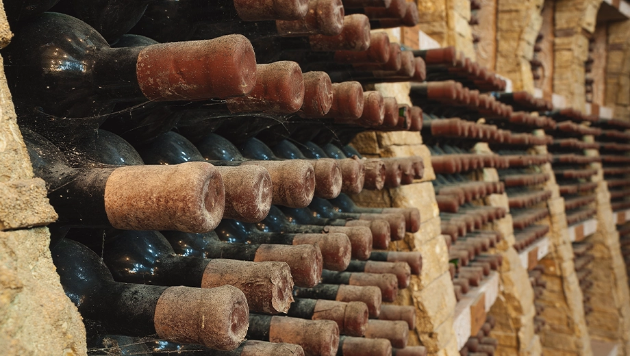 Uruguay_Wine cellar with old bottles