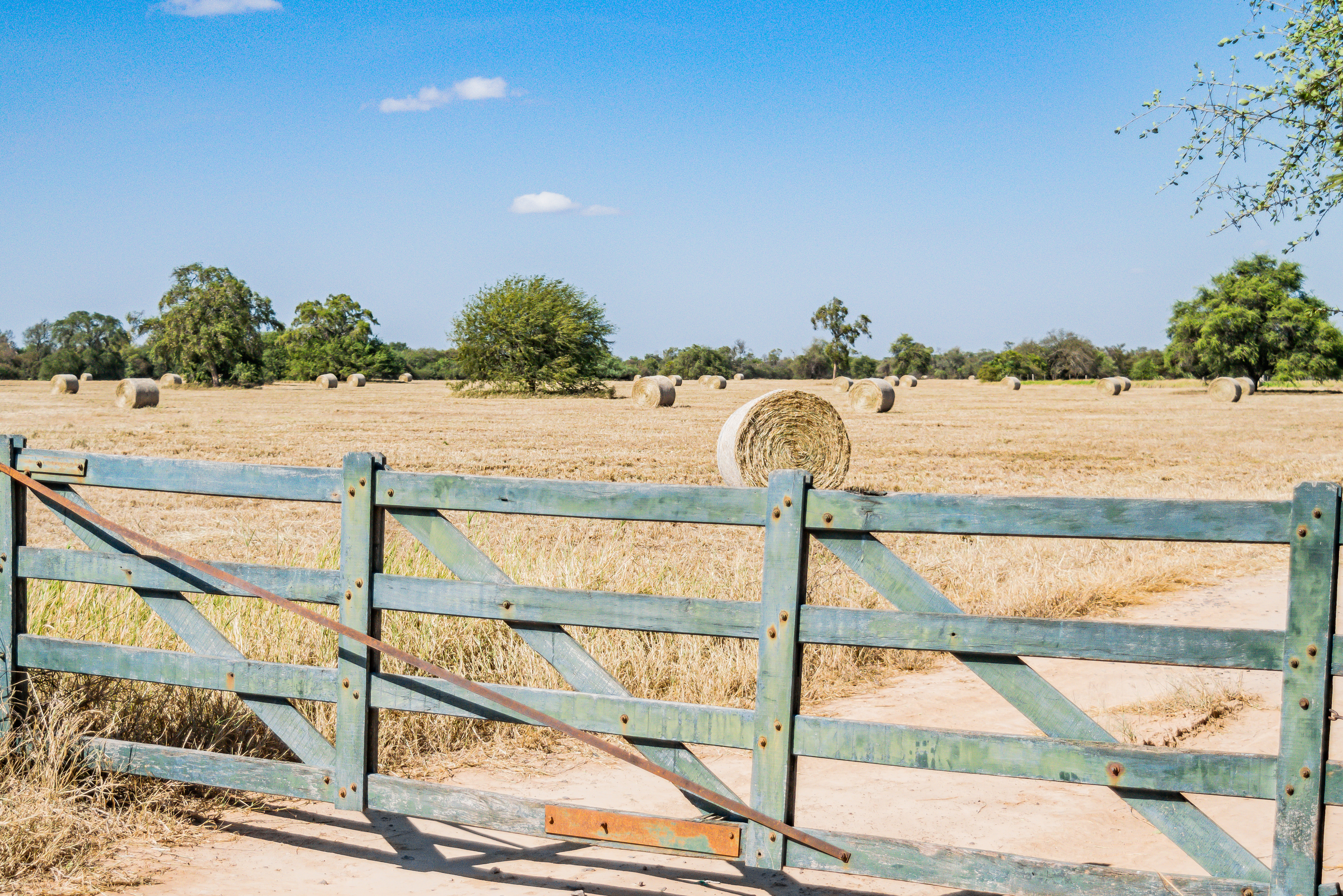 Paraguay_Estancia