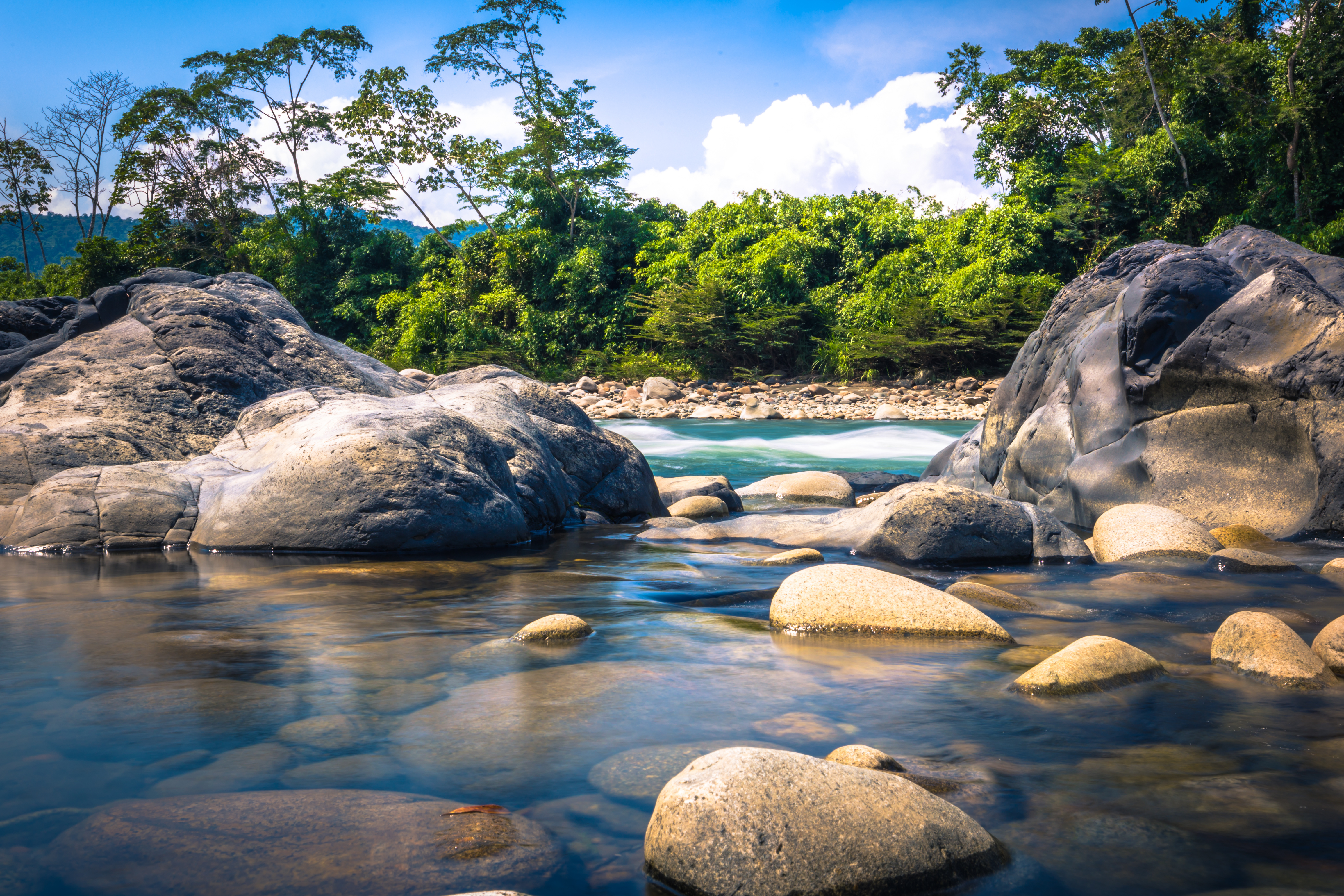 Peru, Amazon, Manu National Park