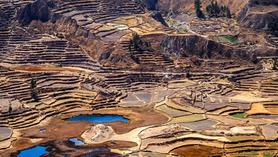 Terrace fields, Colca Canyon