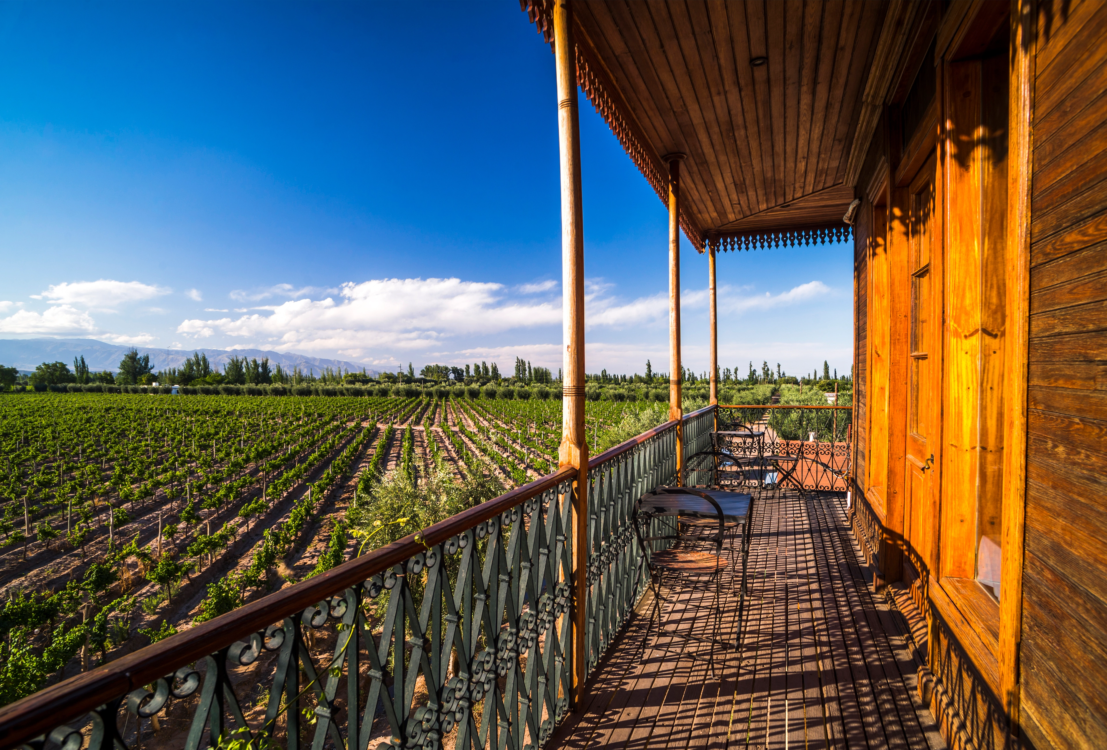 Argentina Mendoza Maipu Winery