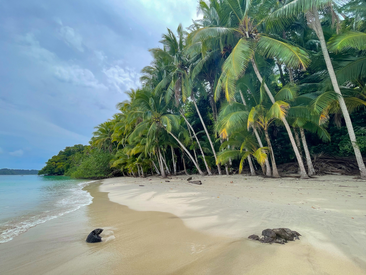 Tropical sandy beach of Isla Coiba