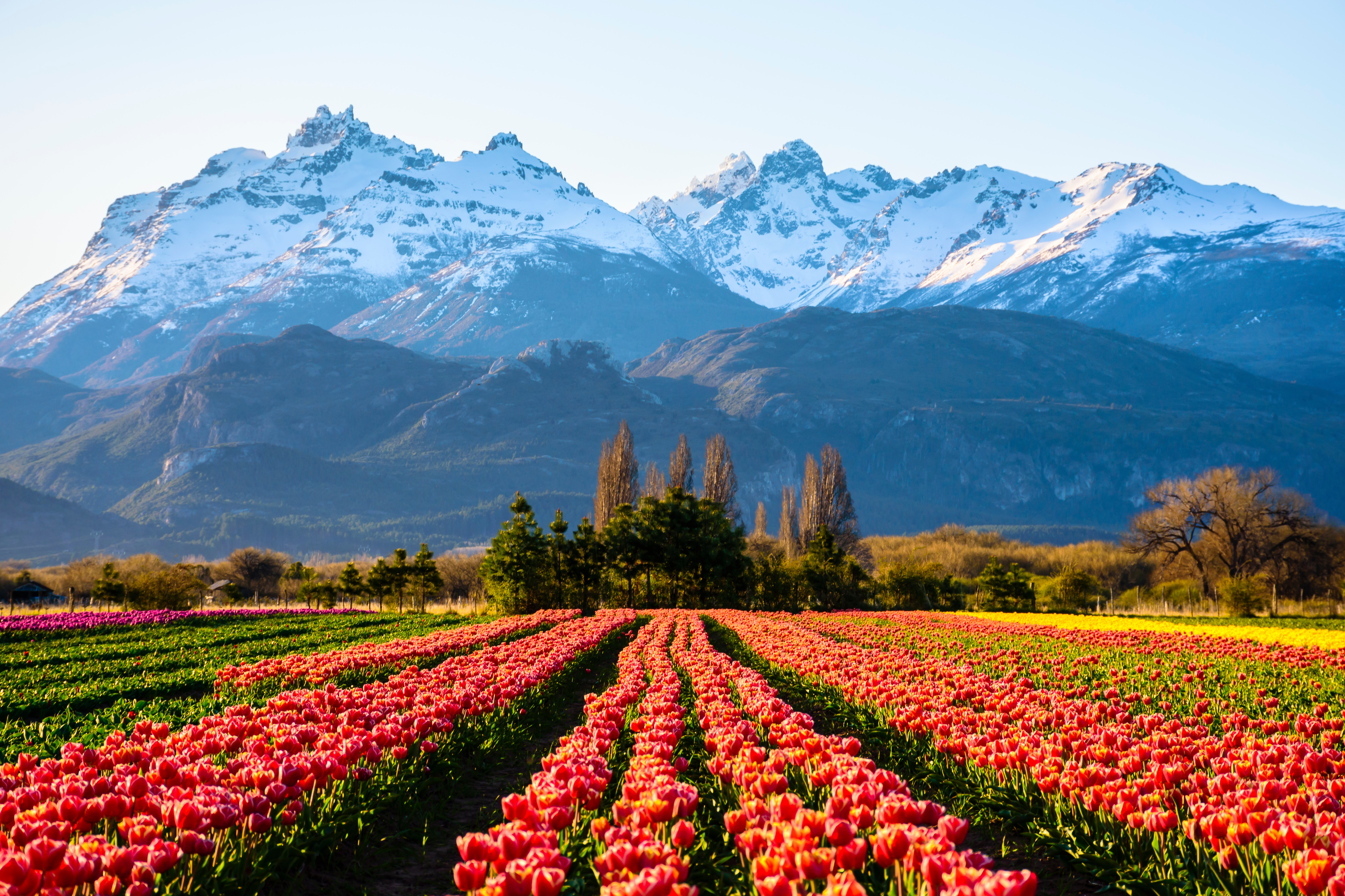 Argentina_Trevelin_Welsh_Patagonia