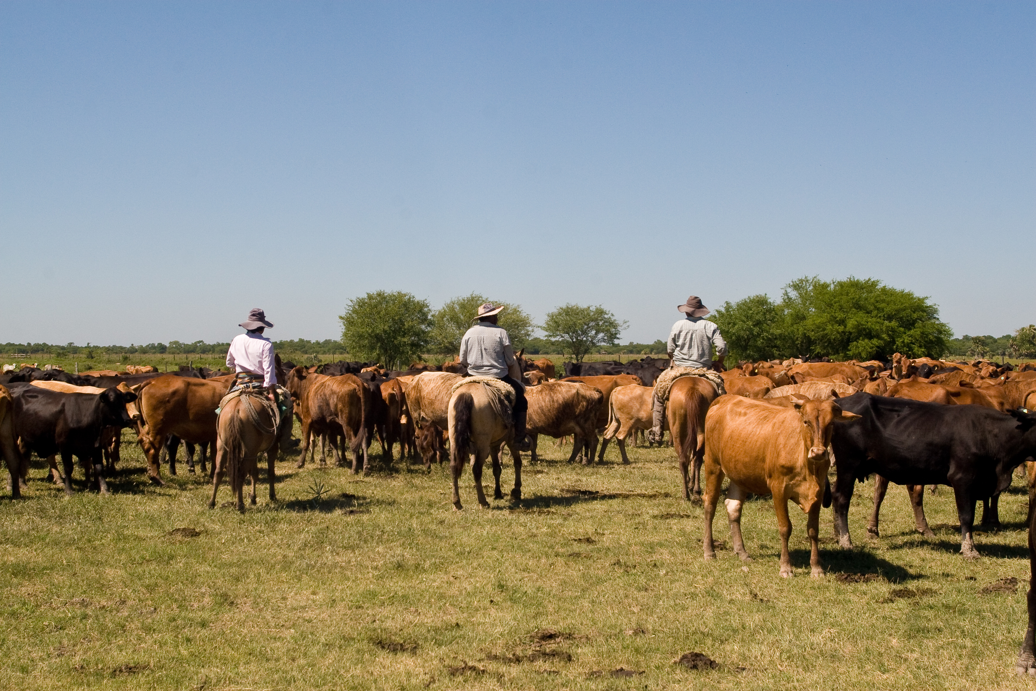 Paraguay_Gauchos