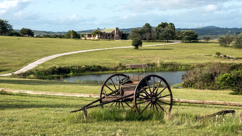 Sunny day in the countryside of Uruguay