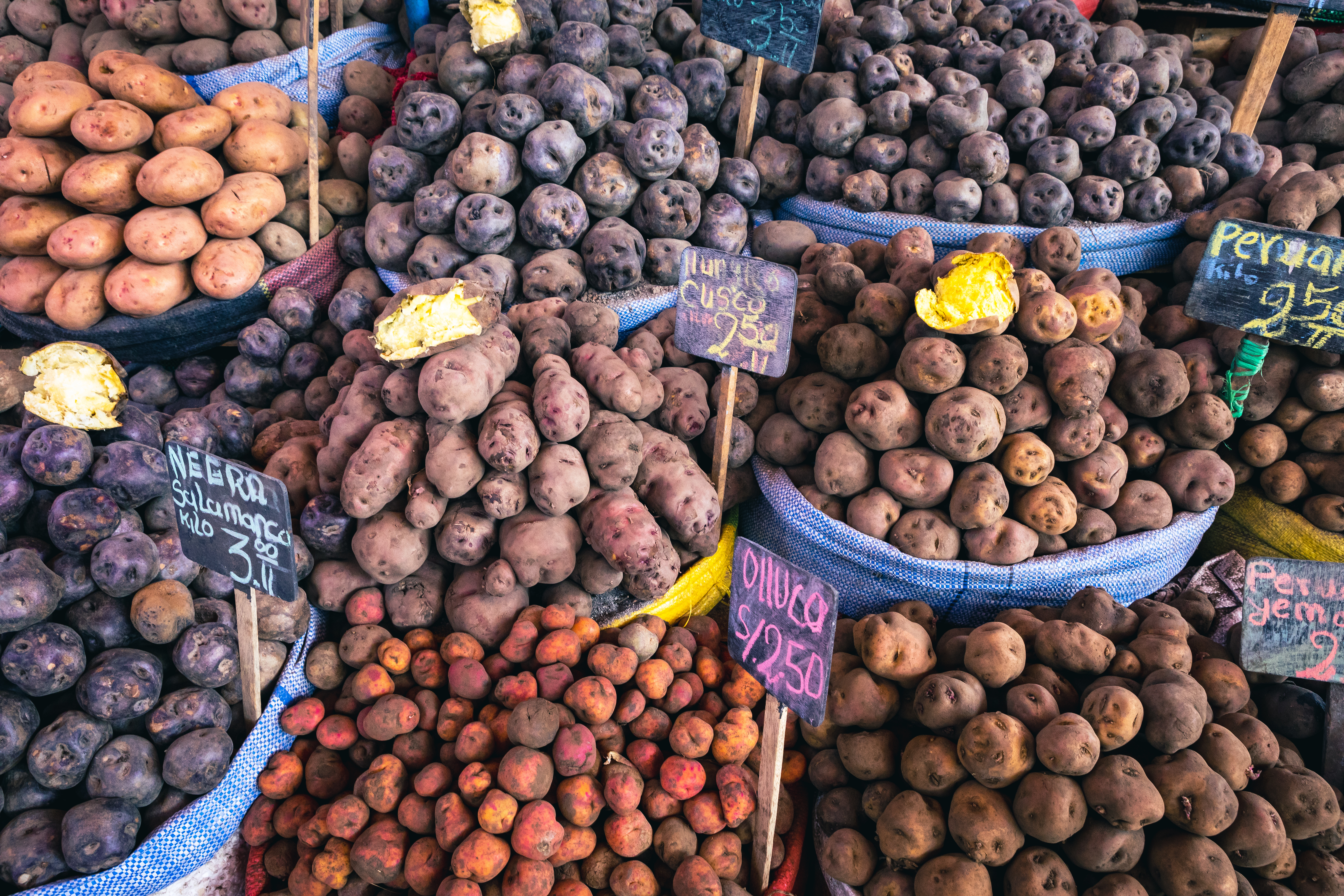 Peru_Food_Potato_Types_Arequipa_Market