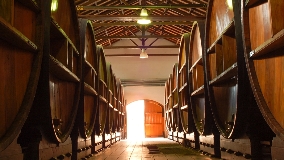 Wine barrels, Mendoza