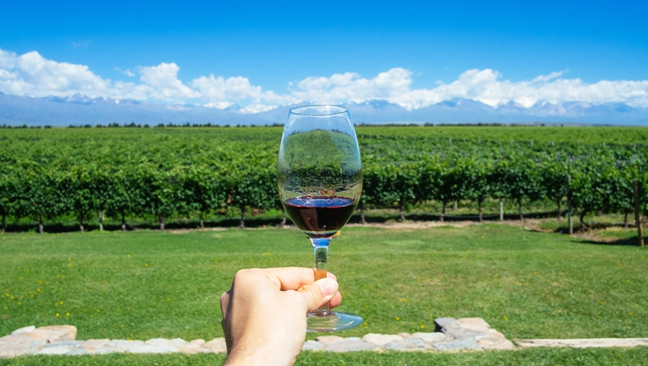 Glass of wine with Andes and vineyard on the background, Mendoza