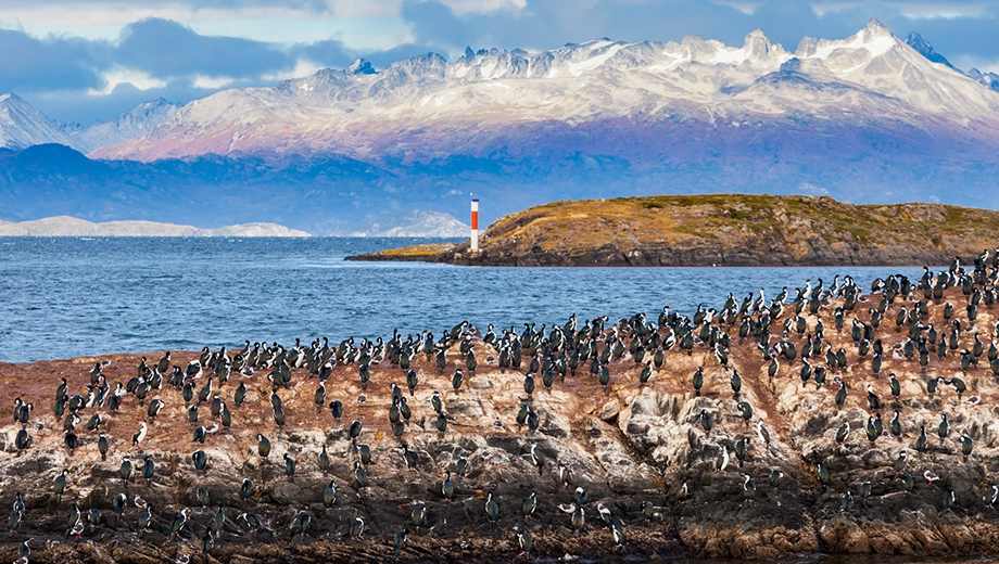 Bird Island, Beagle Channel near Ushuaia