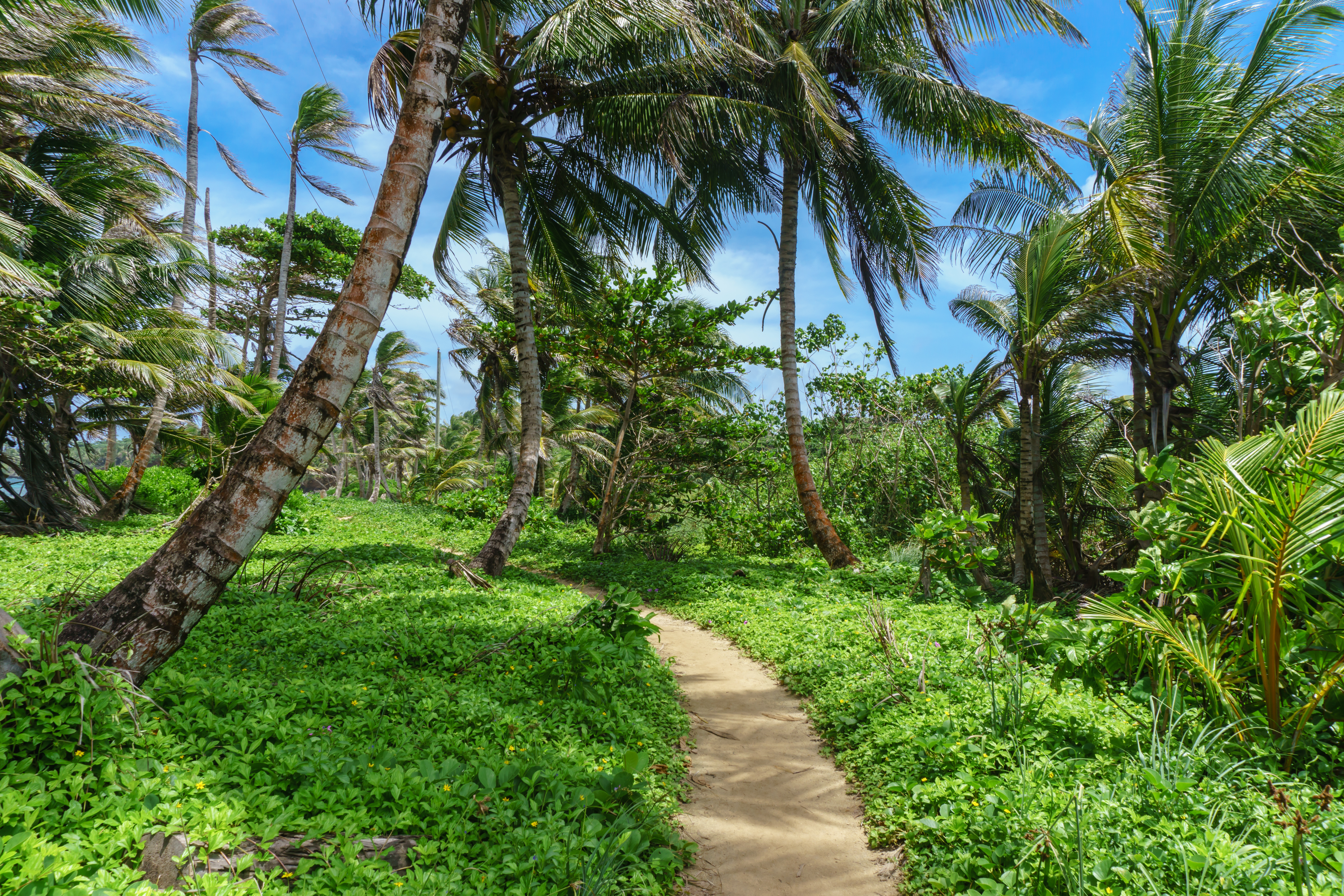 Nicaragua Little Corn Island