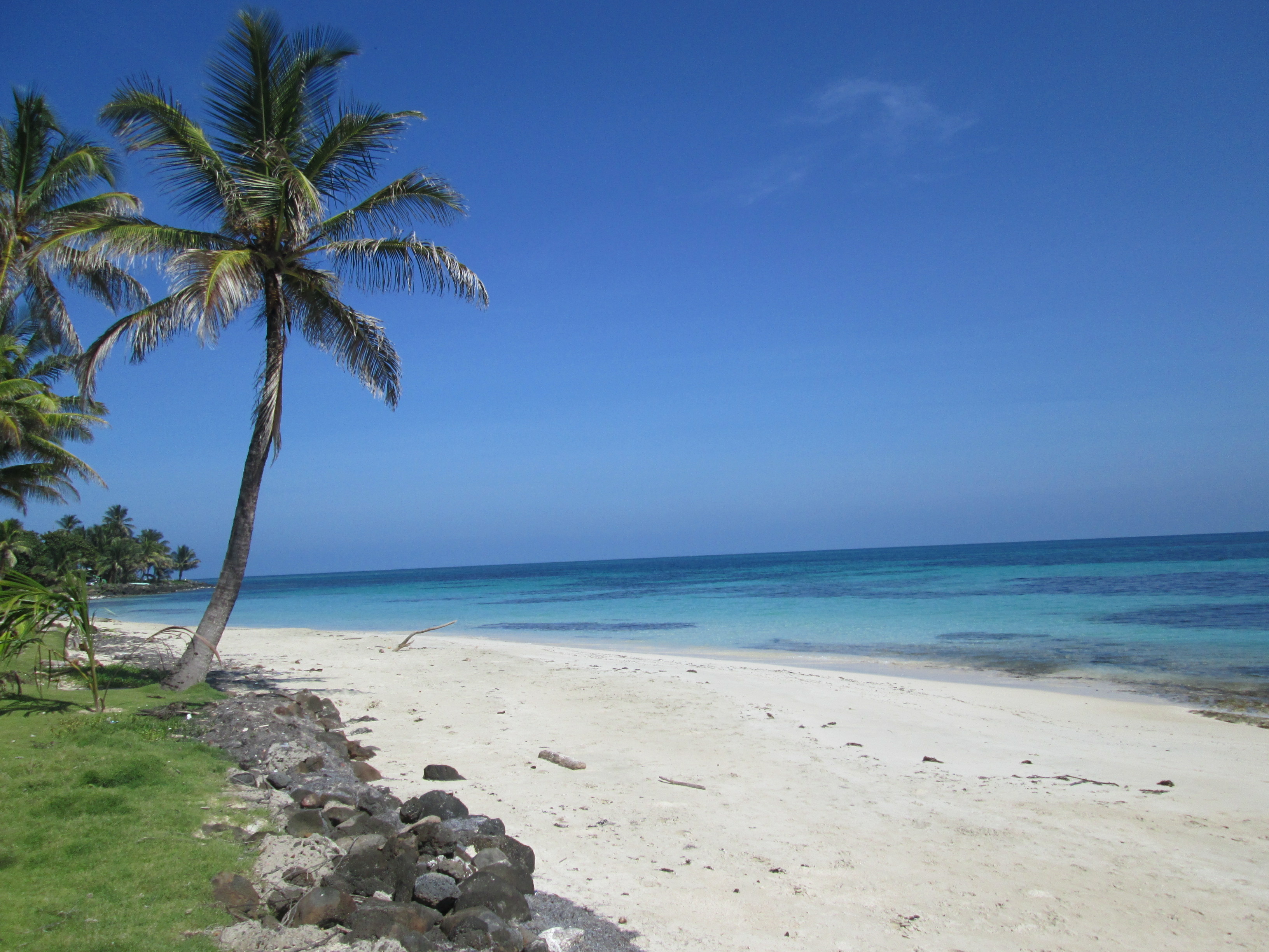 Nicaragua Corn Island Coast With Palm