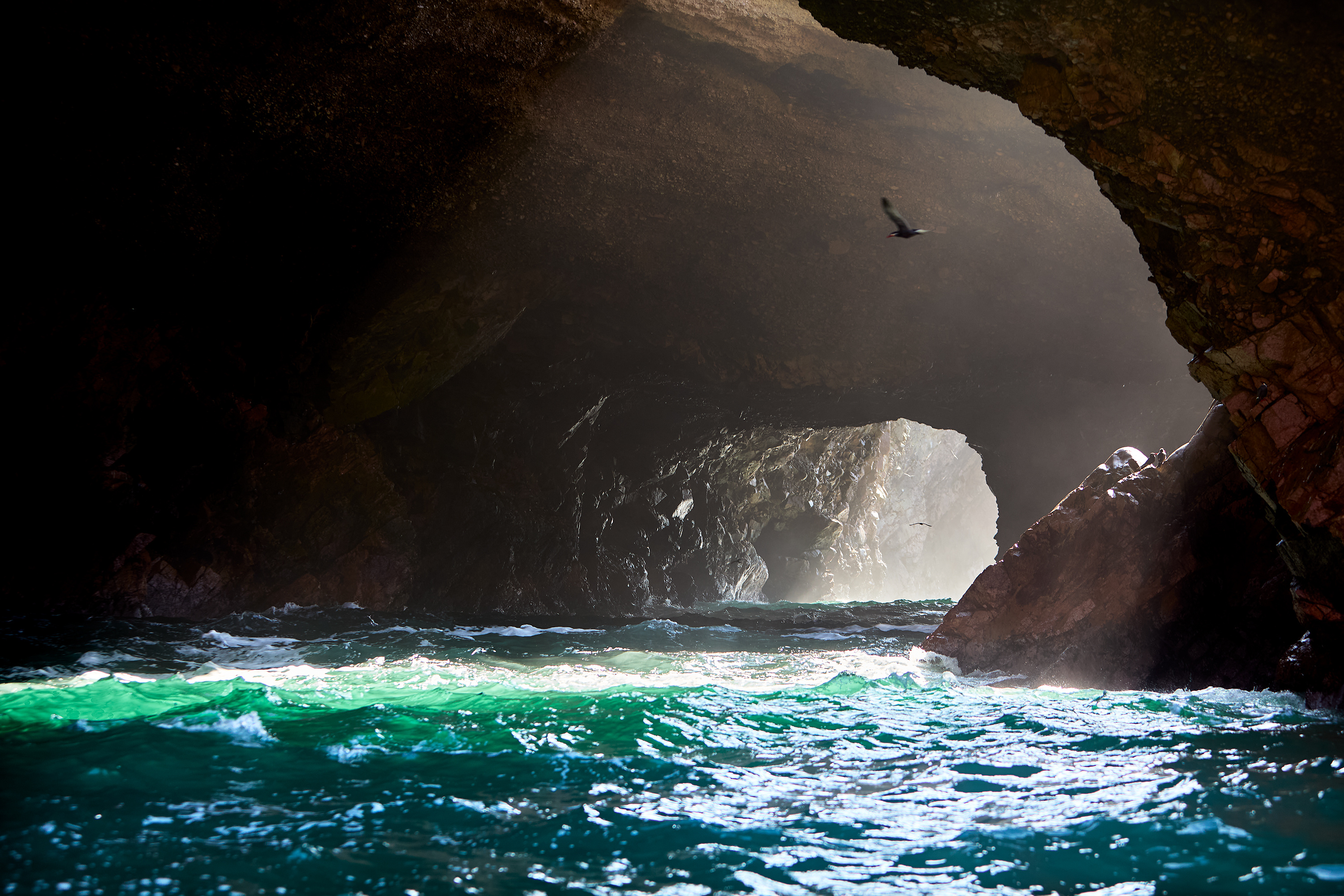 Peru, Paracas, The Ballestas Islands,