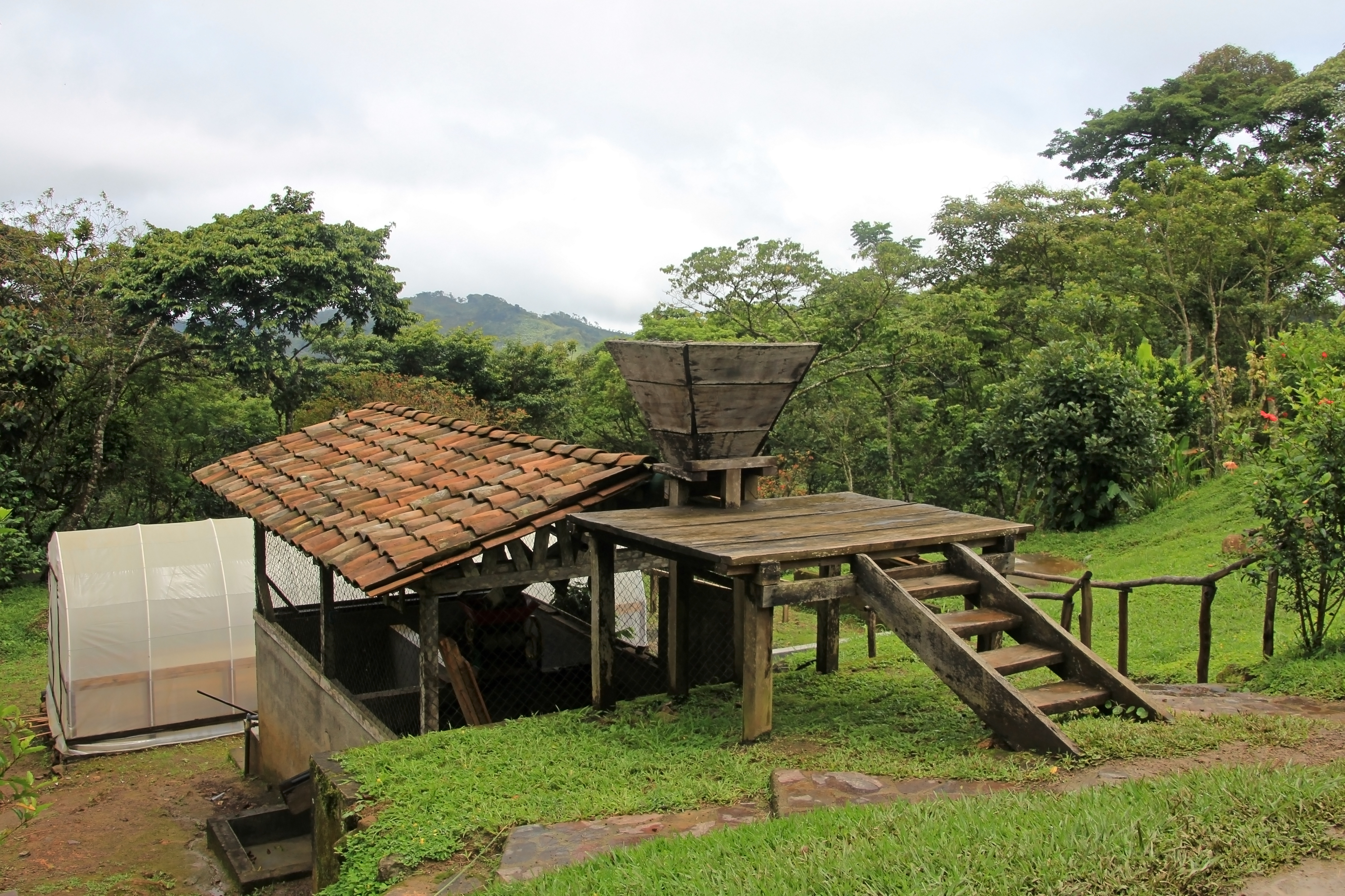 Nicaragua, Landscape And Coffee Farm In The Highlands Of Matagalpa,