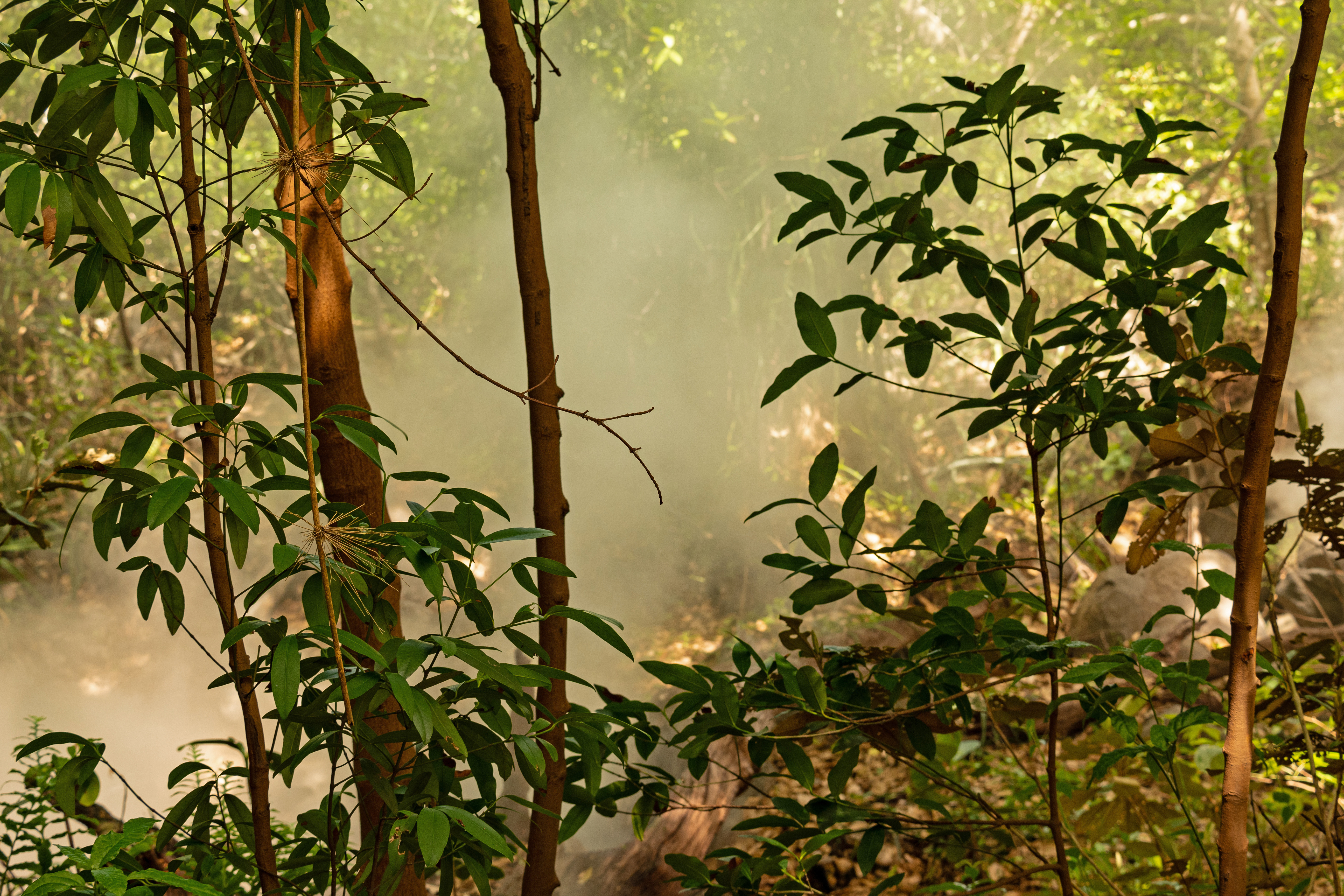 Costa Rica, Guanacaste, Rincón De La Vieja Vocalinic Smoke