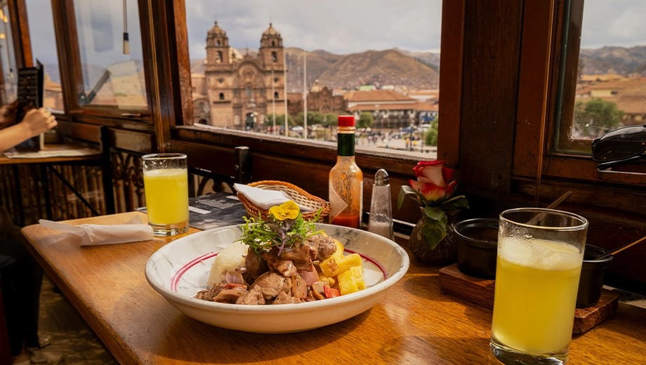 Alpaca loin overlooking the Cusco square