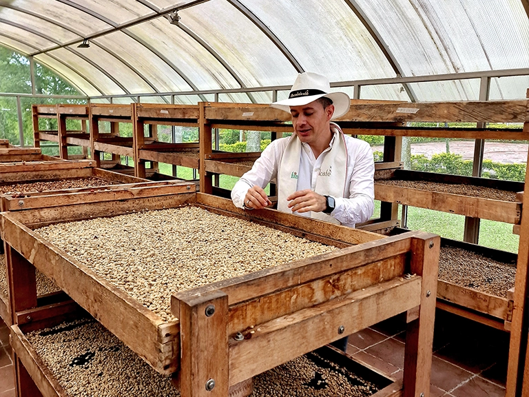 Guide explaining the drying process of coffee beans