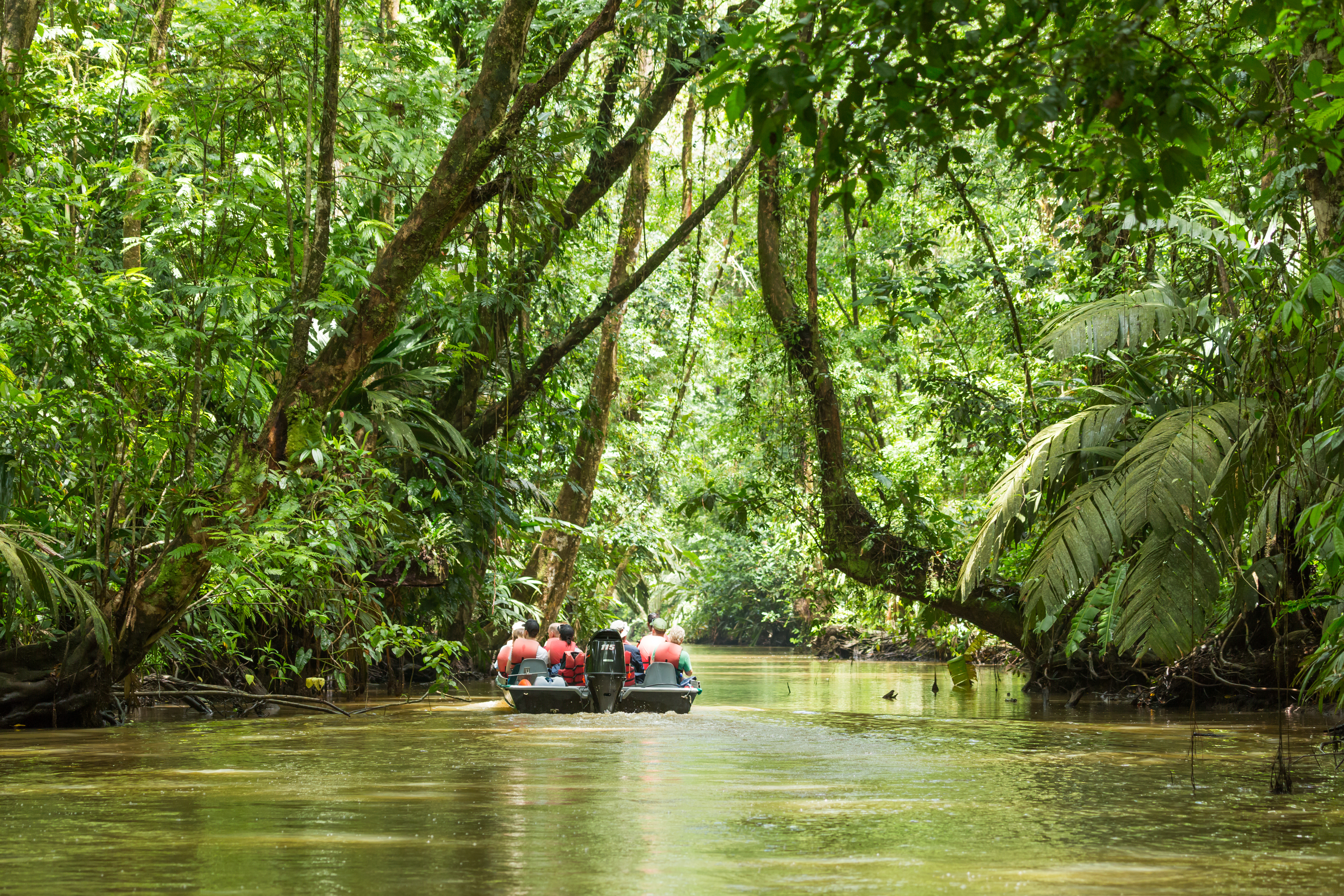 Costa Rica, Tortuguero National Parc