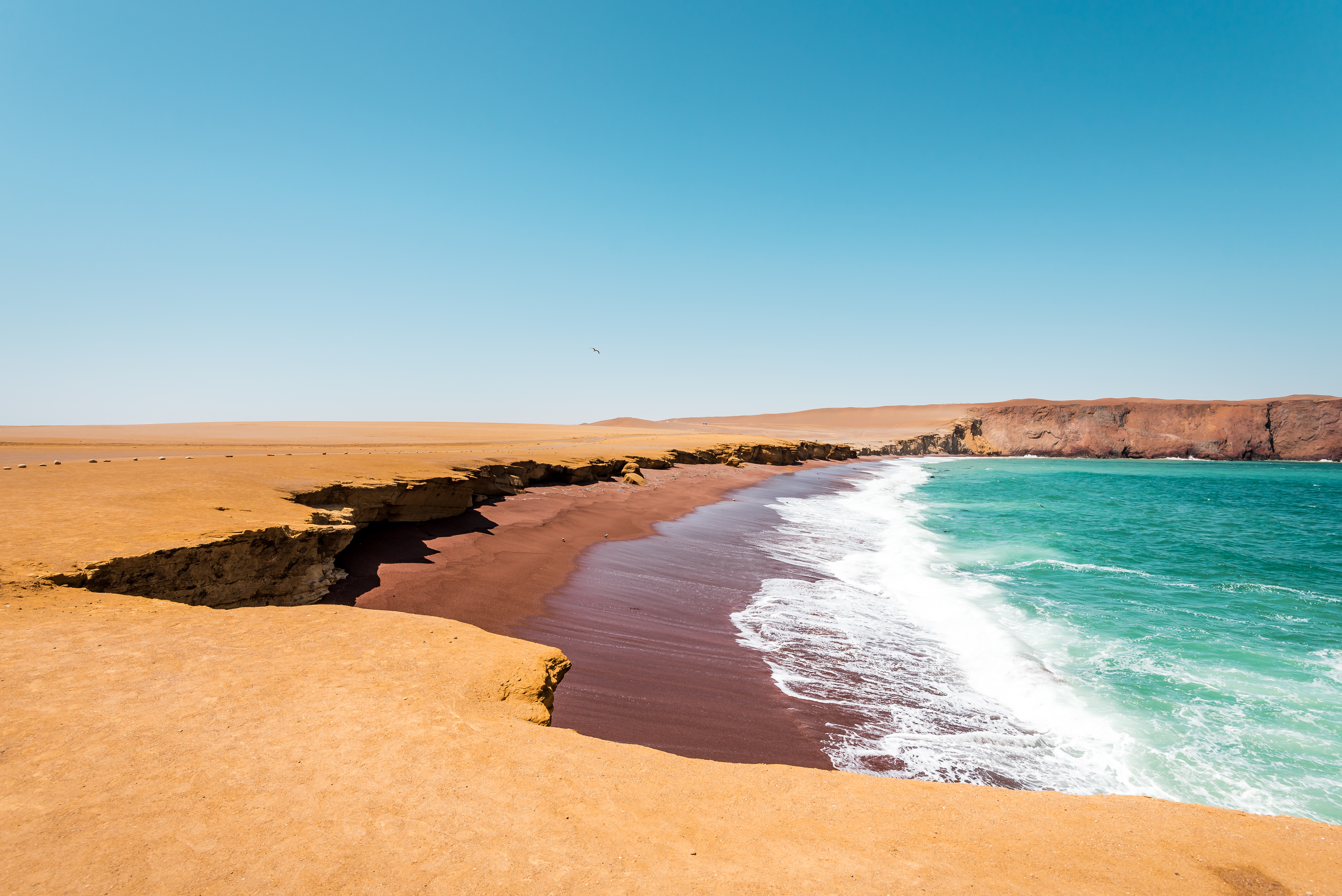 Peru, Playa Roja Beach In Paracas National Reserve, Coastline Of Peru