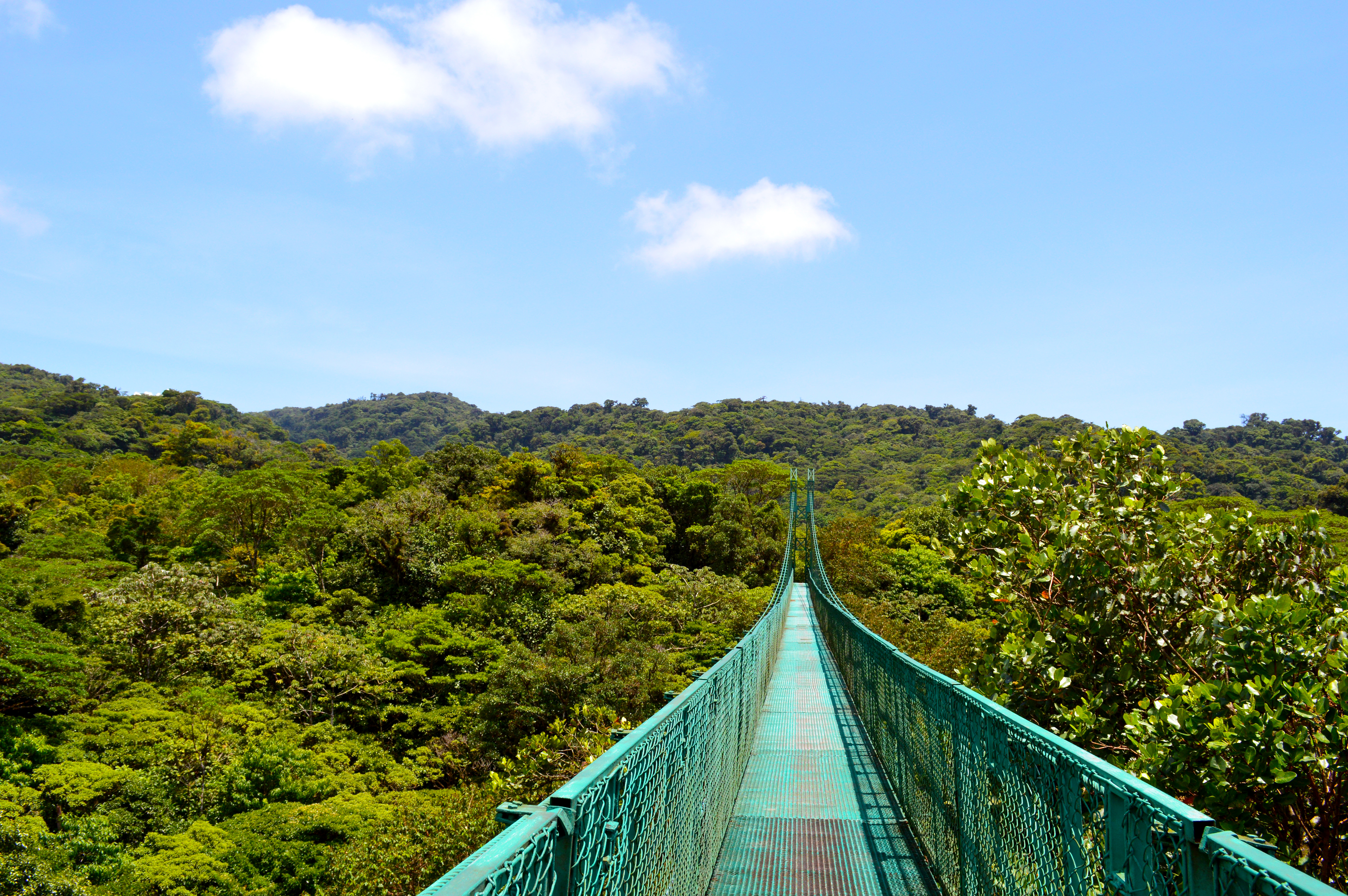 Costa_Rica_Monteverde_Hanging_Bridge