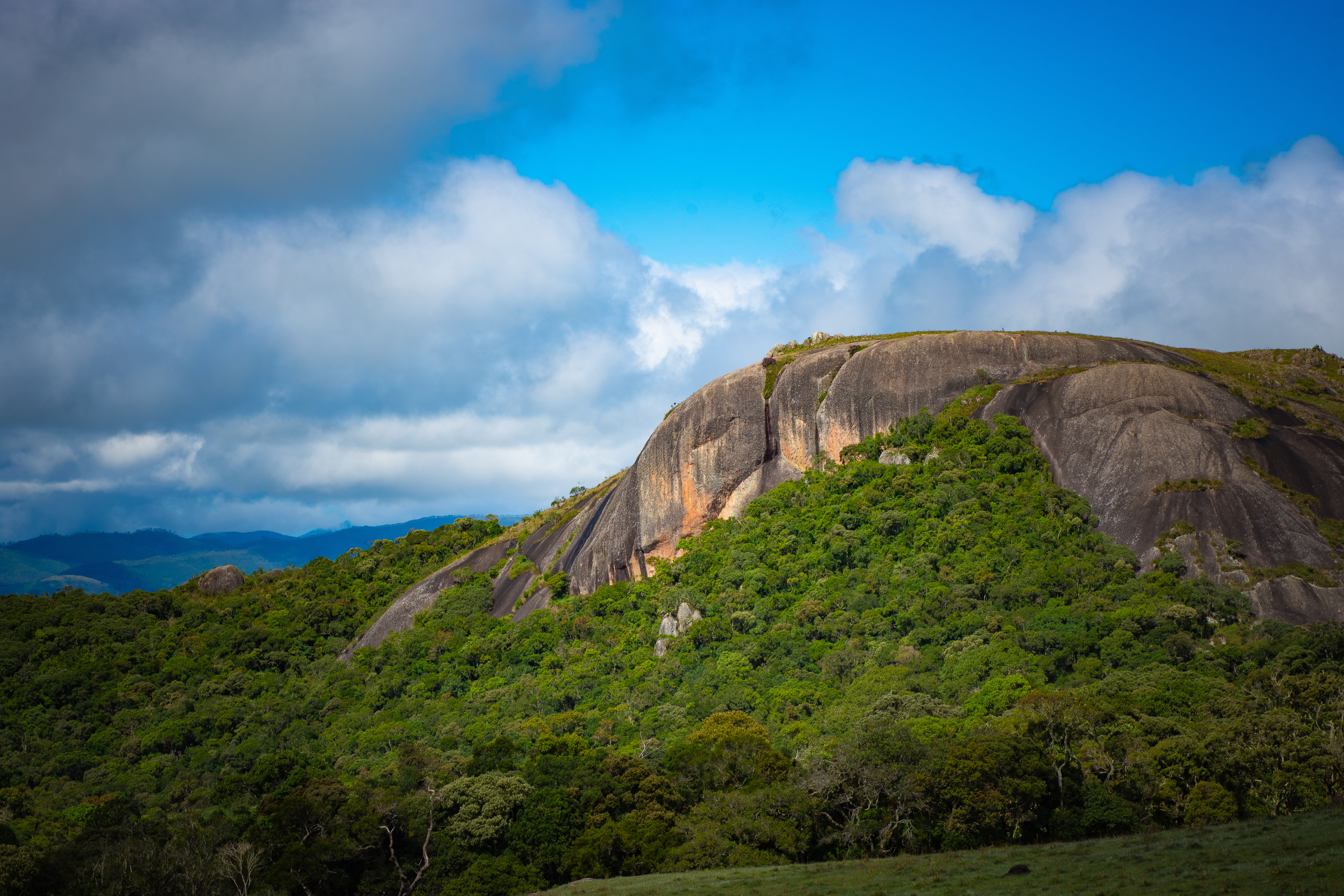 Brazil Serra Da Bocaina.