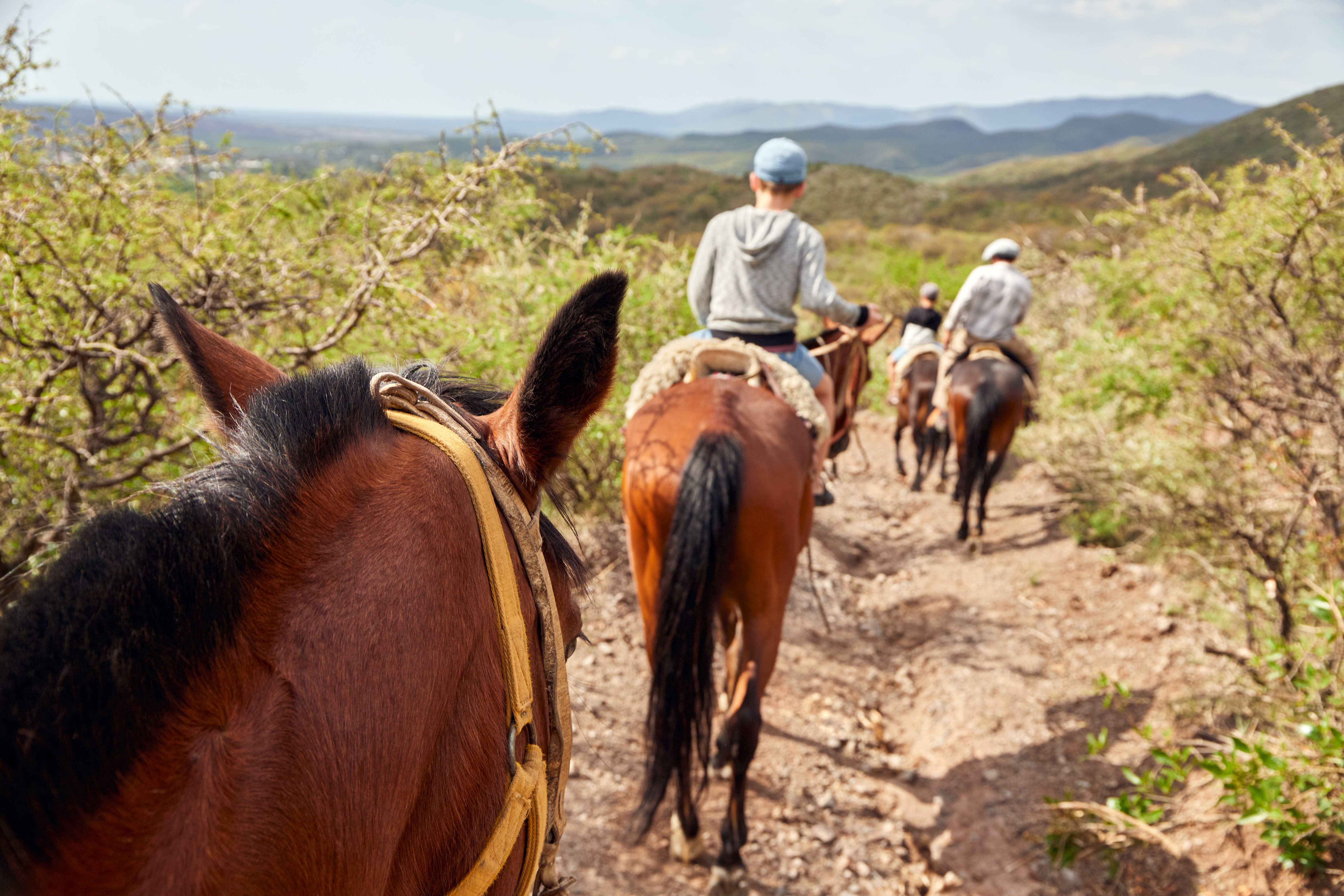 Argentina Family Riding Horseback Through The Hills, Guided By An Argentine Gaucho.