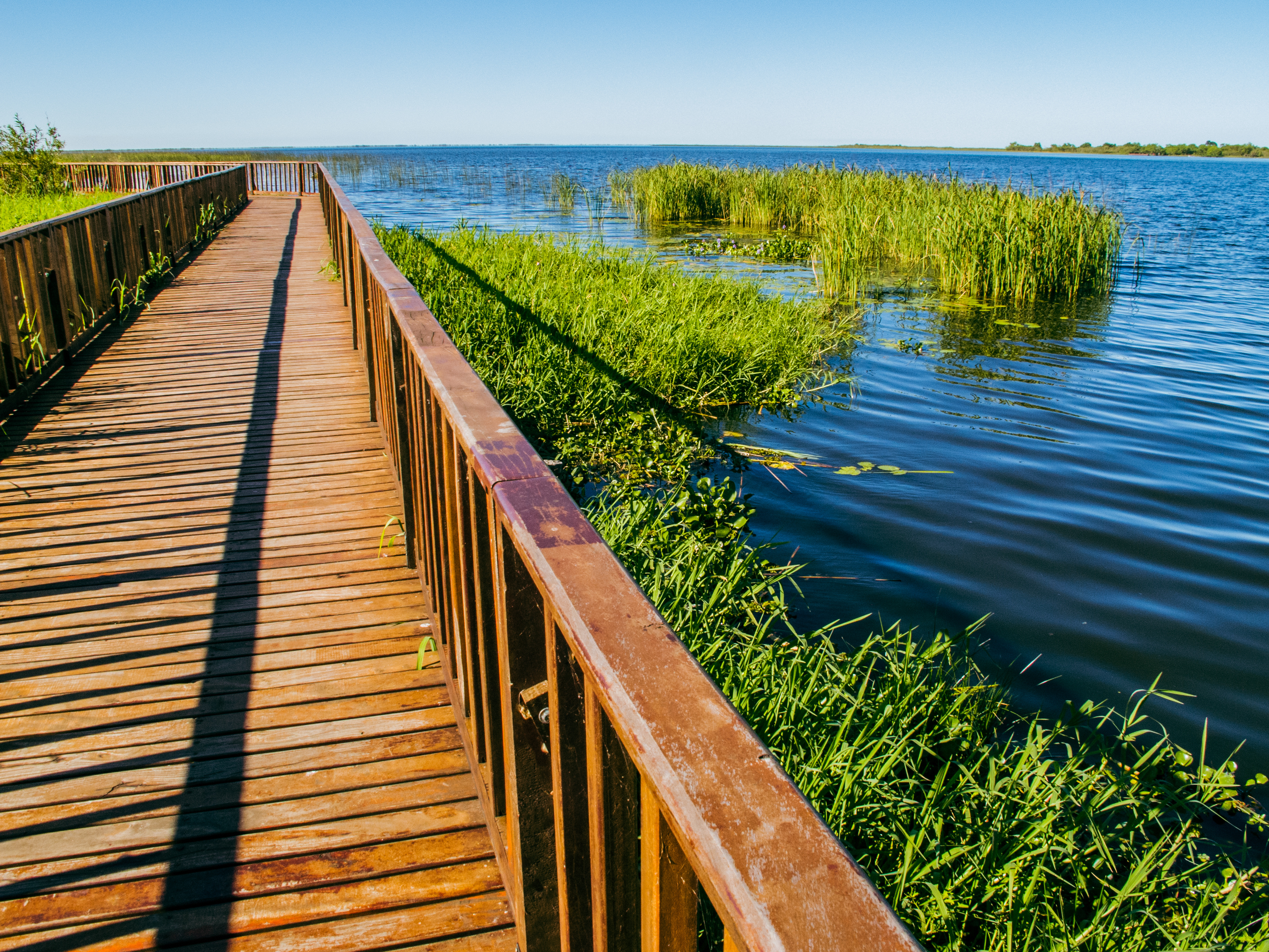 Argentina, Ibera Wetlands