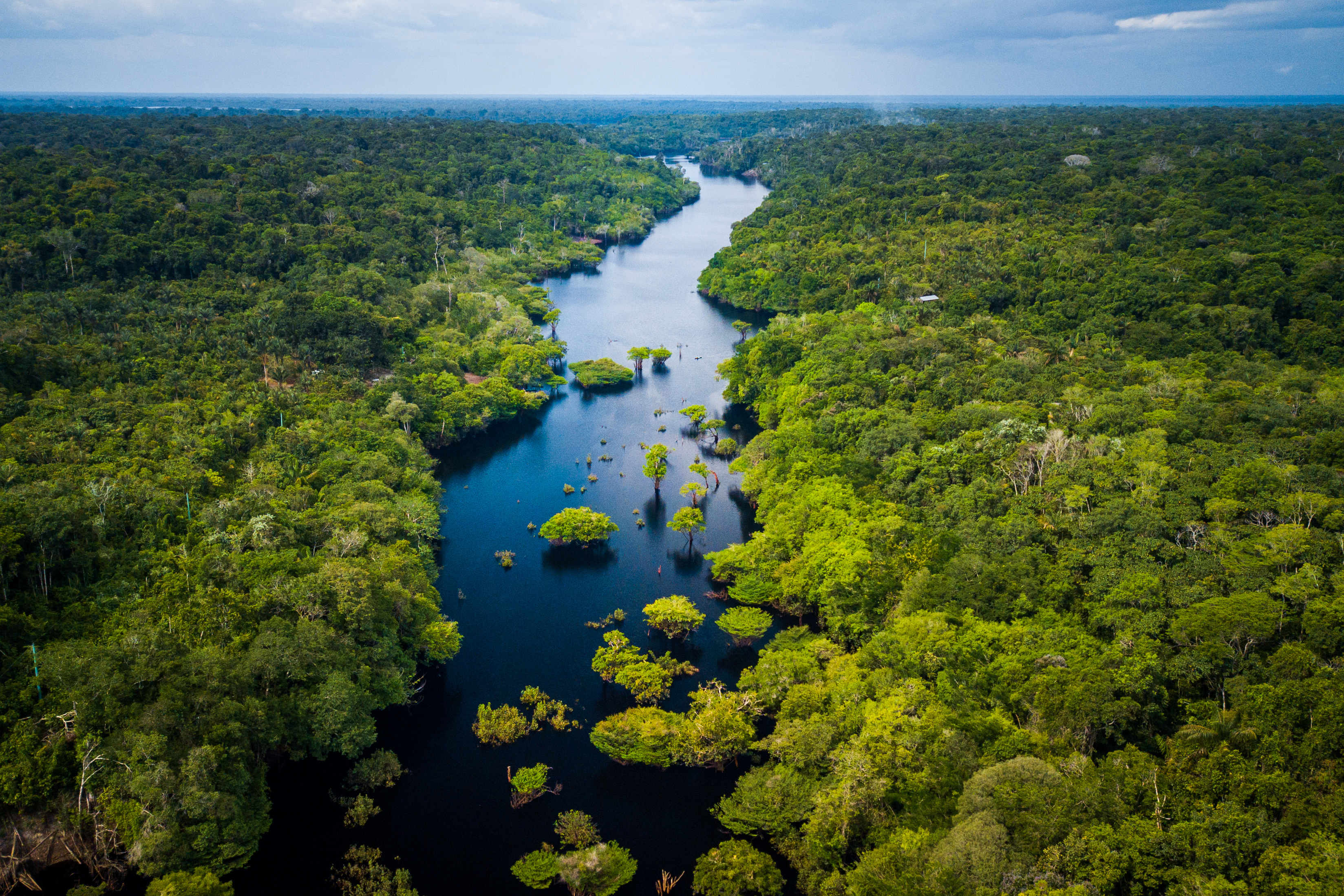 Brazil Amazon Rainforest In Anavilhanas National Park,