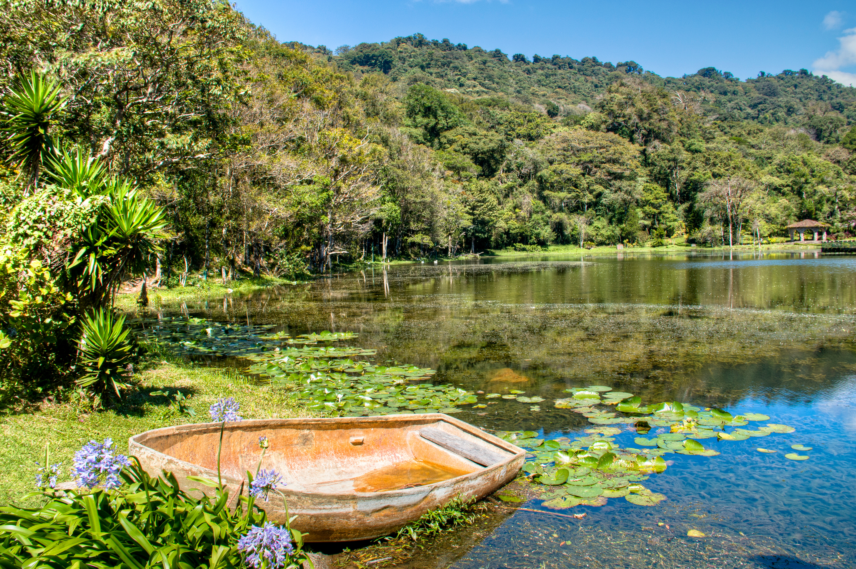 Nicaragua Matagalpa, Lake With Small Boat In Selva Negra,