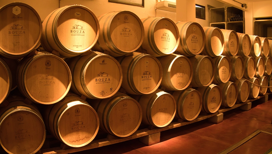 Uruguay_Montevideo_Resting wine in wooden oak barrels