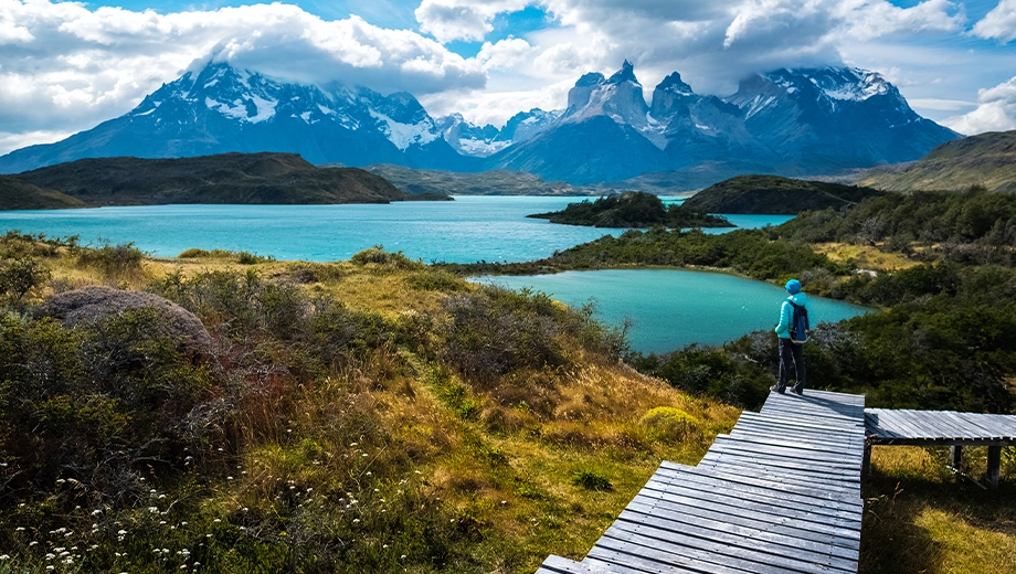 Hiker, Torres del Paine National Park