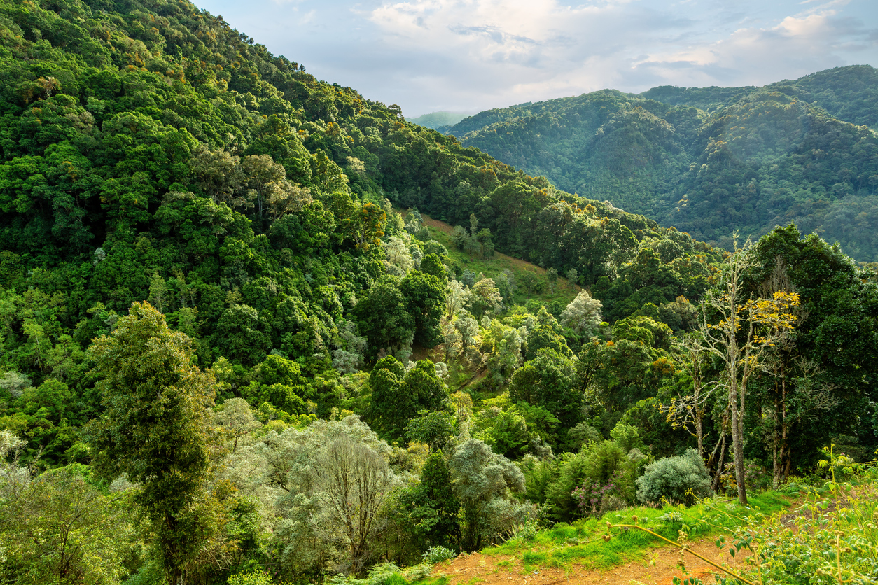 Landscape in San Gerardo de Dota