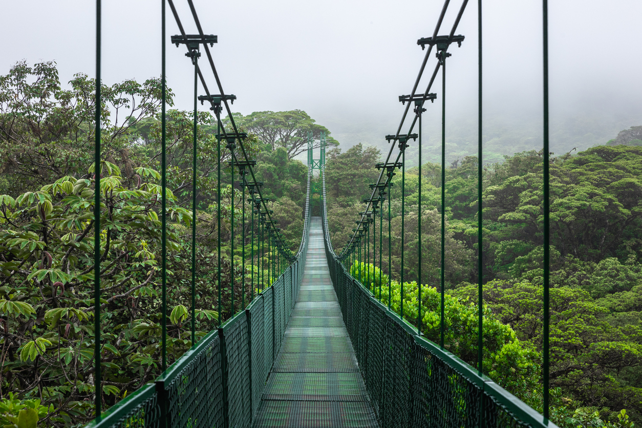 Hanging bridge Monteverde