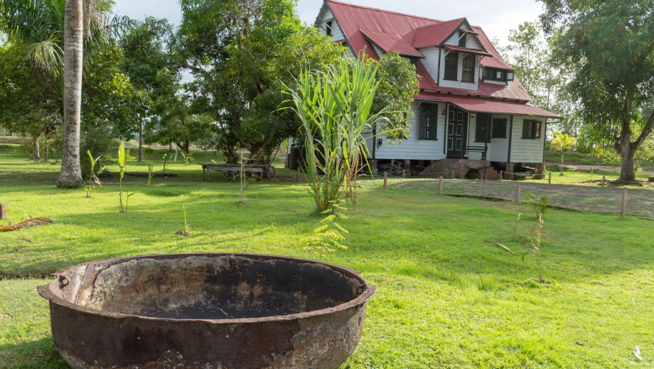 Suriname_Frederiksdorp Plantation