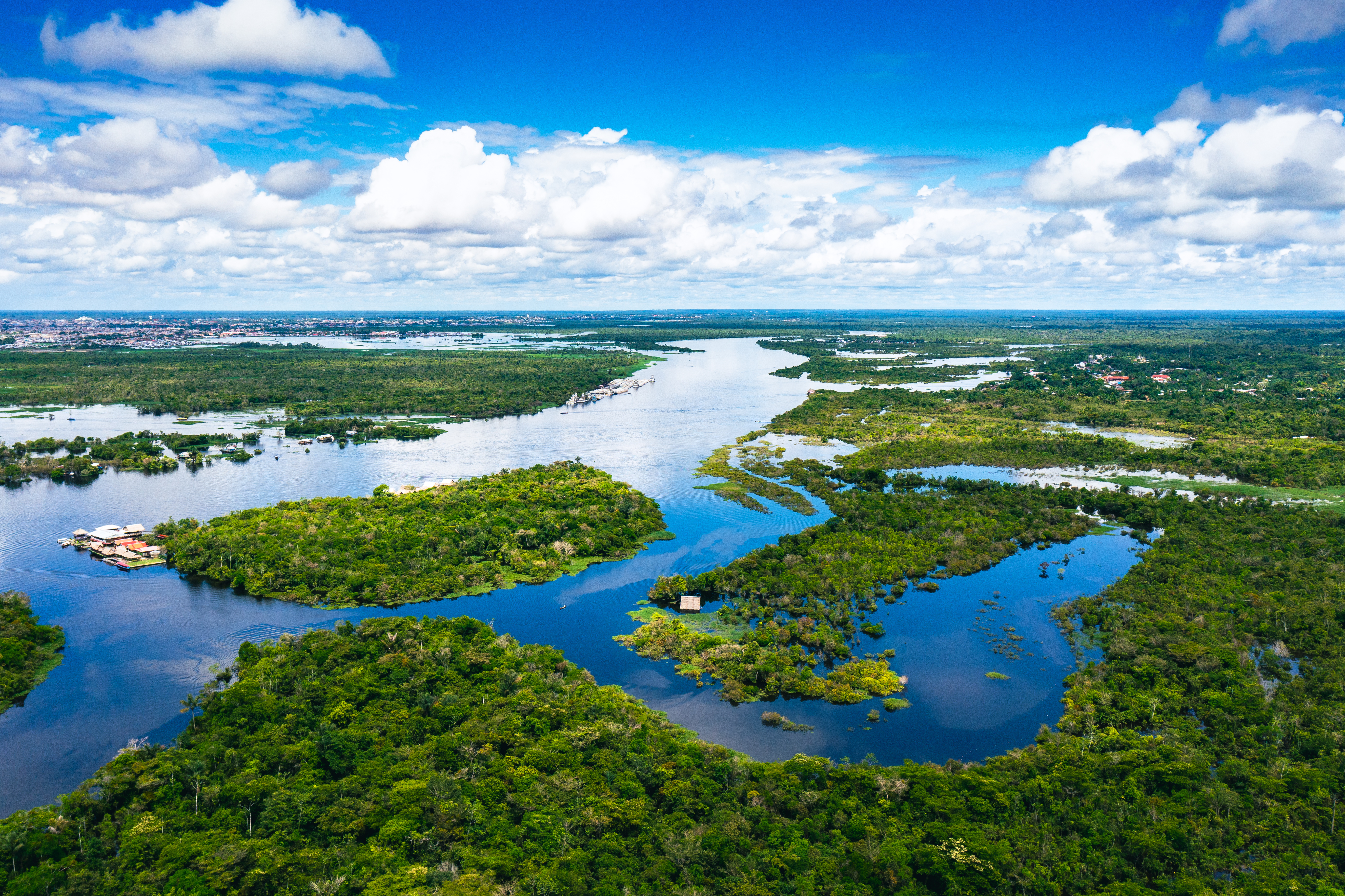 Peru_Amazon_Near_Iquitos