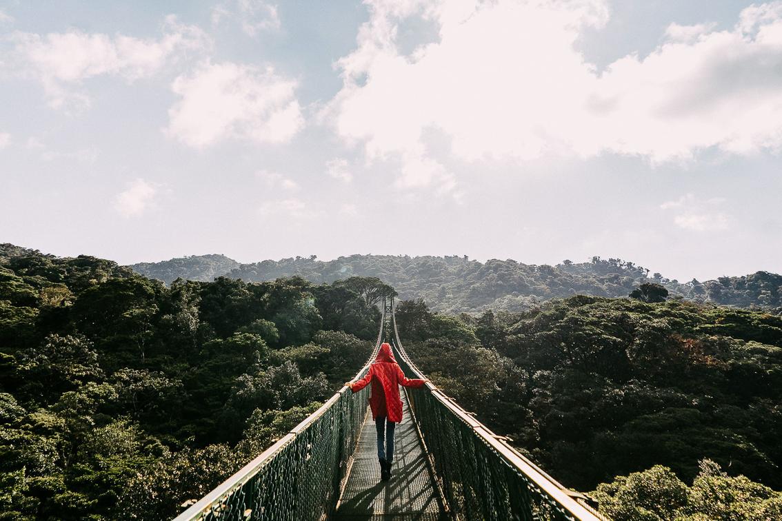 Senda Monteverde Canopy Bridge Walk