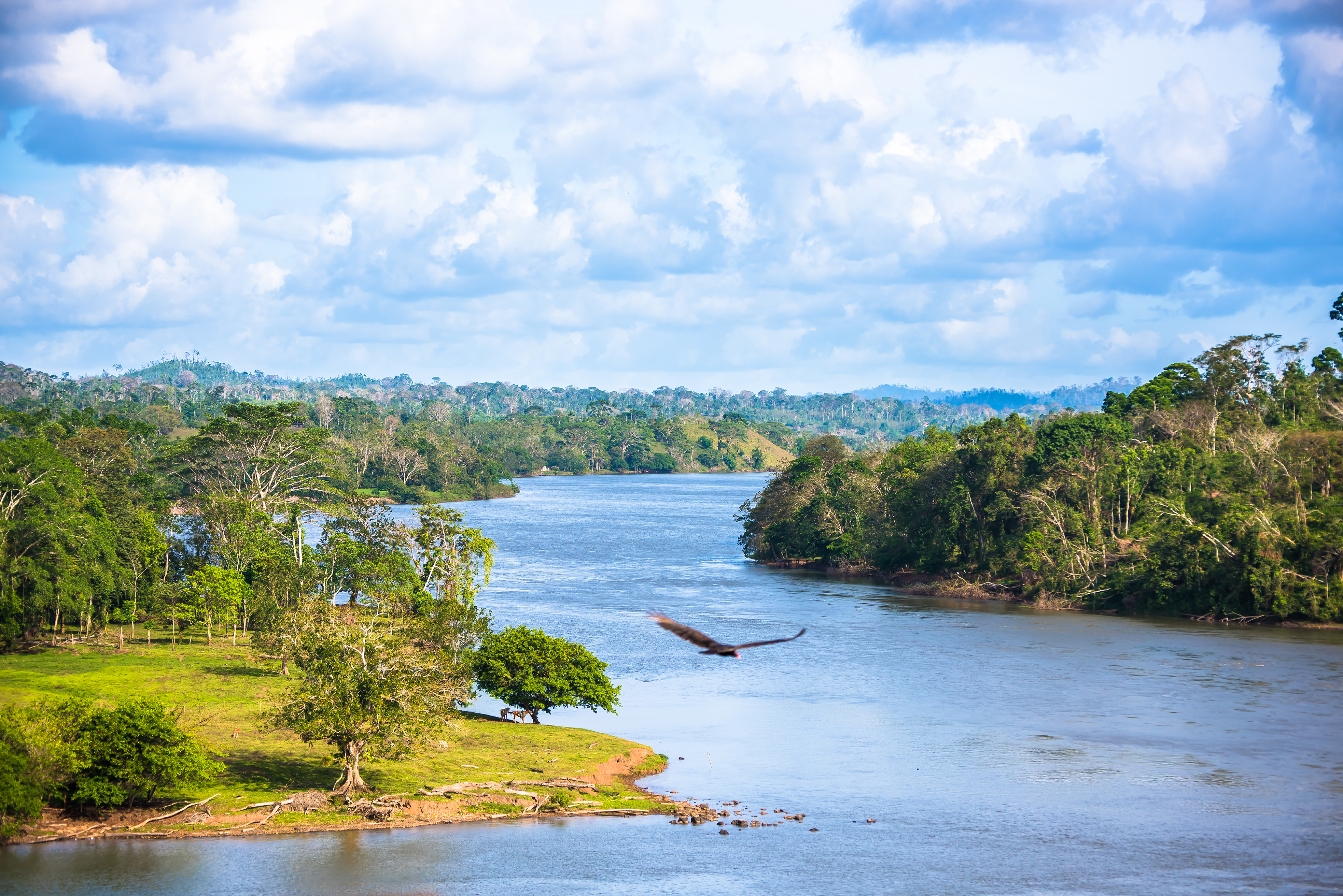 Nicaragua, San Juan River, Beautiful Scenic Landscape Photography San Juan River, Nicaragua. El Castillo Fortress View. Peaceful Stream Of Water.