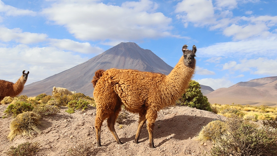 Visit the Atacama Desert in Chile | Latin Routes