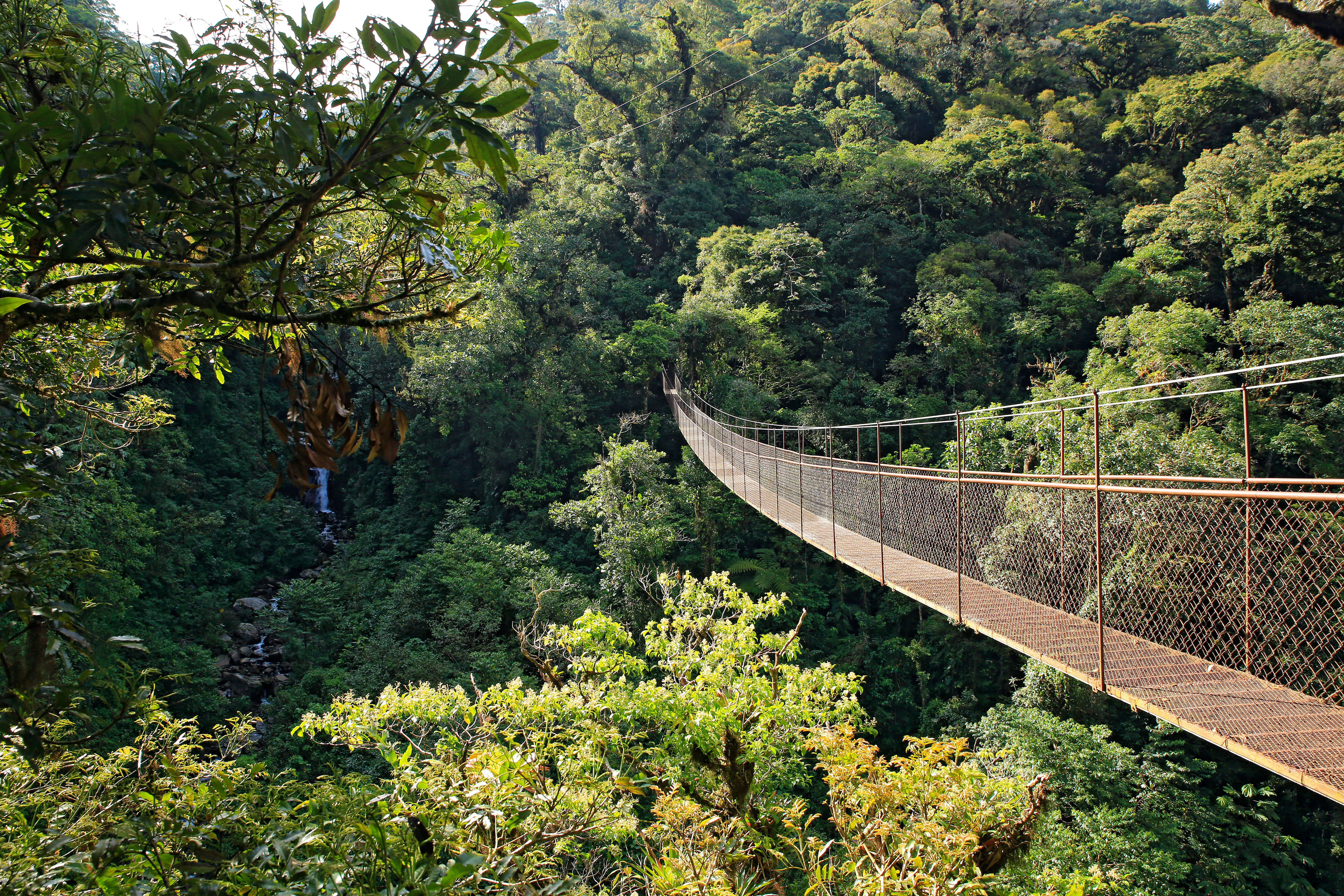 Panama_Boquete_Hanging_Bridge