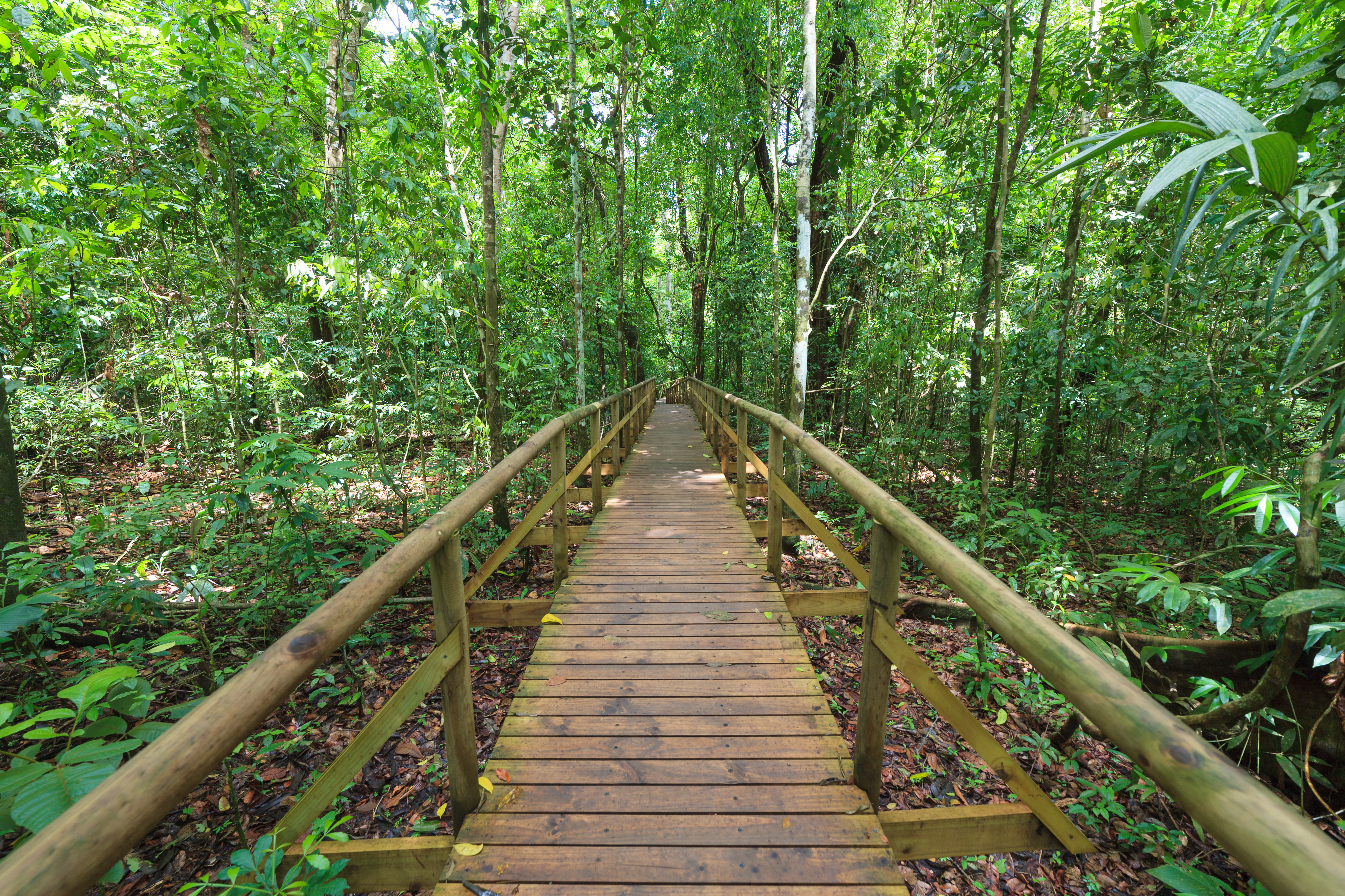 Costa_Rica_Manuel_Antonio_National_Park