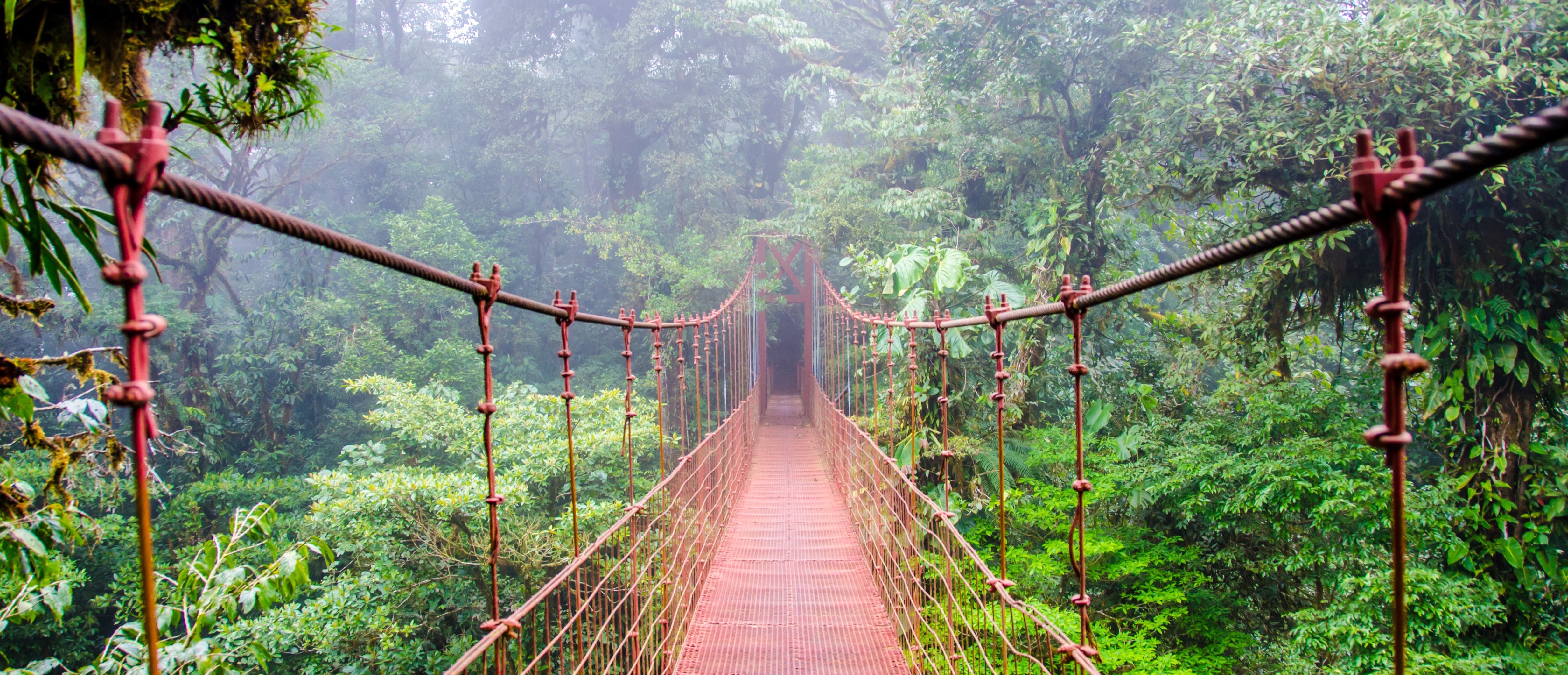 Costa Rica Monteverde HERO BANNER Costa Rica Monteverde HERO BANNER