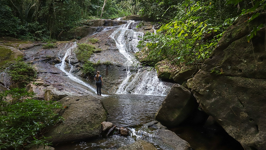 Waterfalls in Mayflower Bocawina National Park, Hopkins