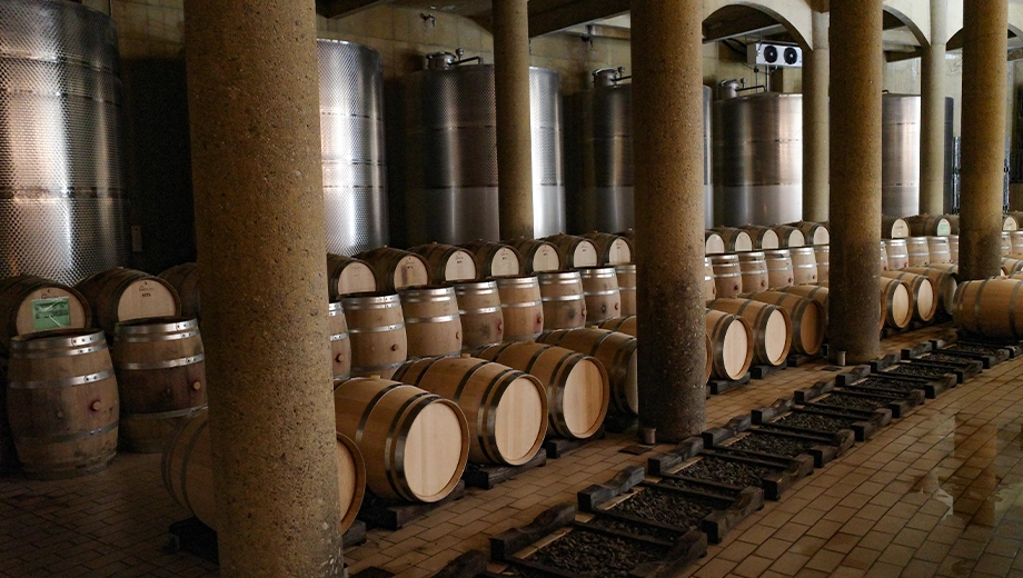 Wine barrels, winery near Santiago