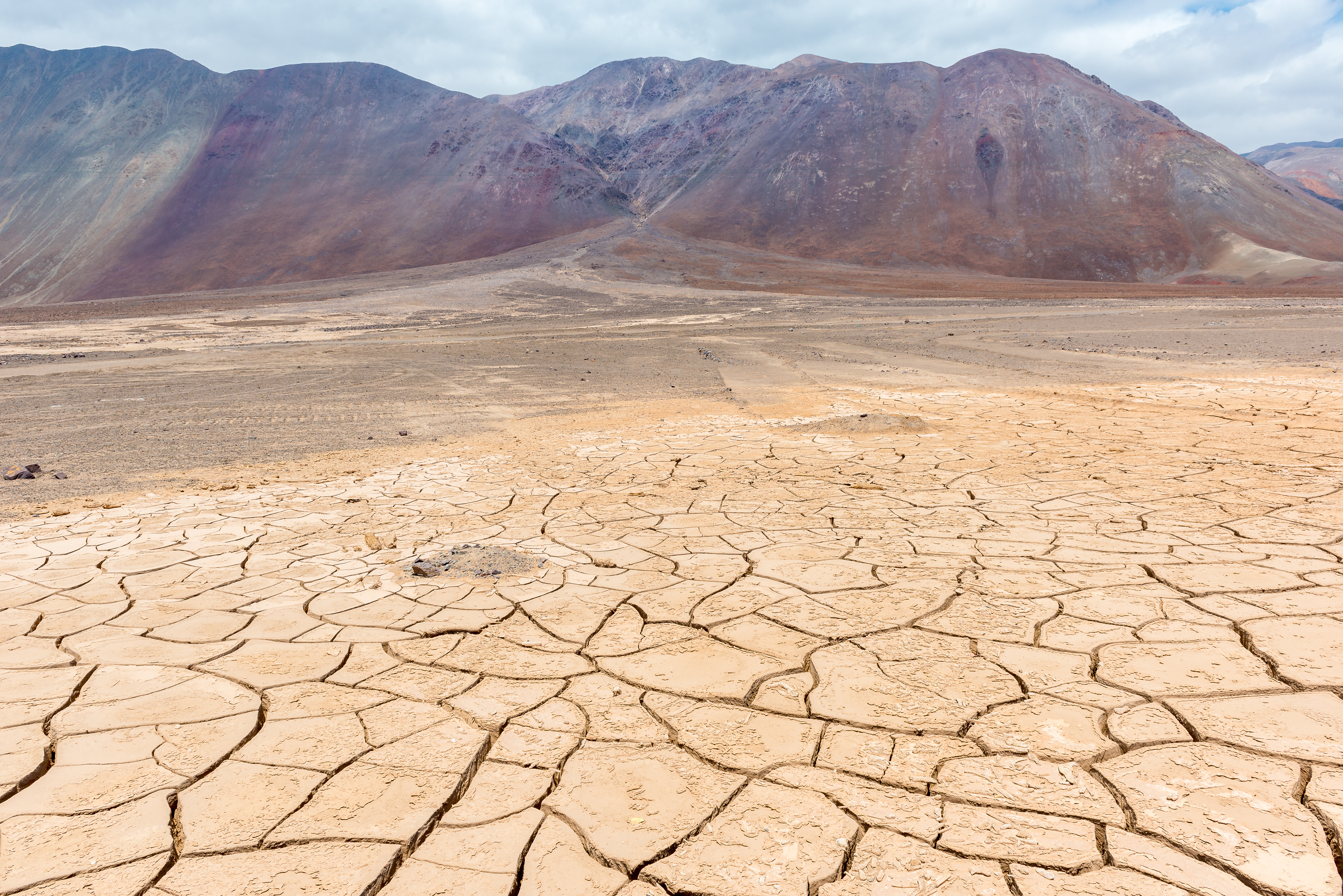 Chile, Atacama Desert, Dry Cracked Earth