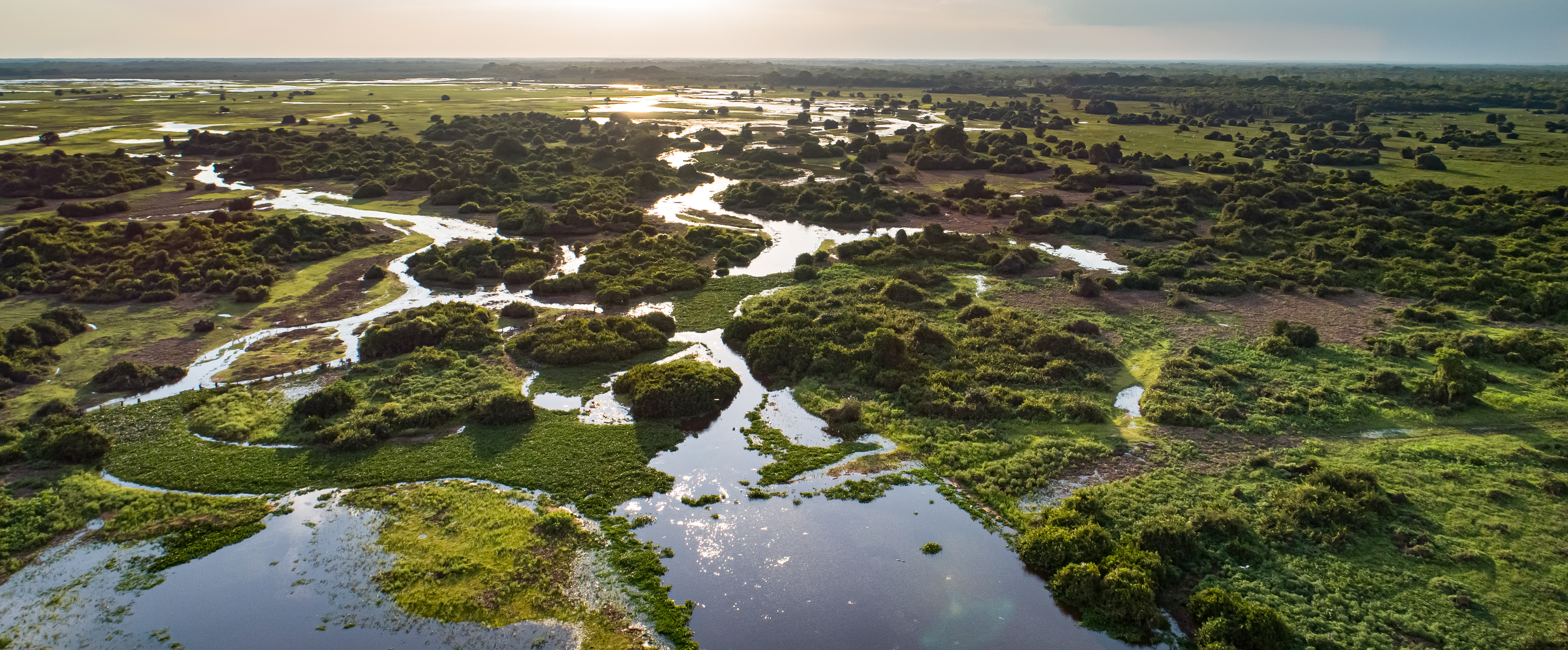 Brazil_Pantanal_Wetlands