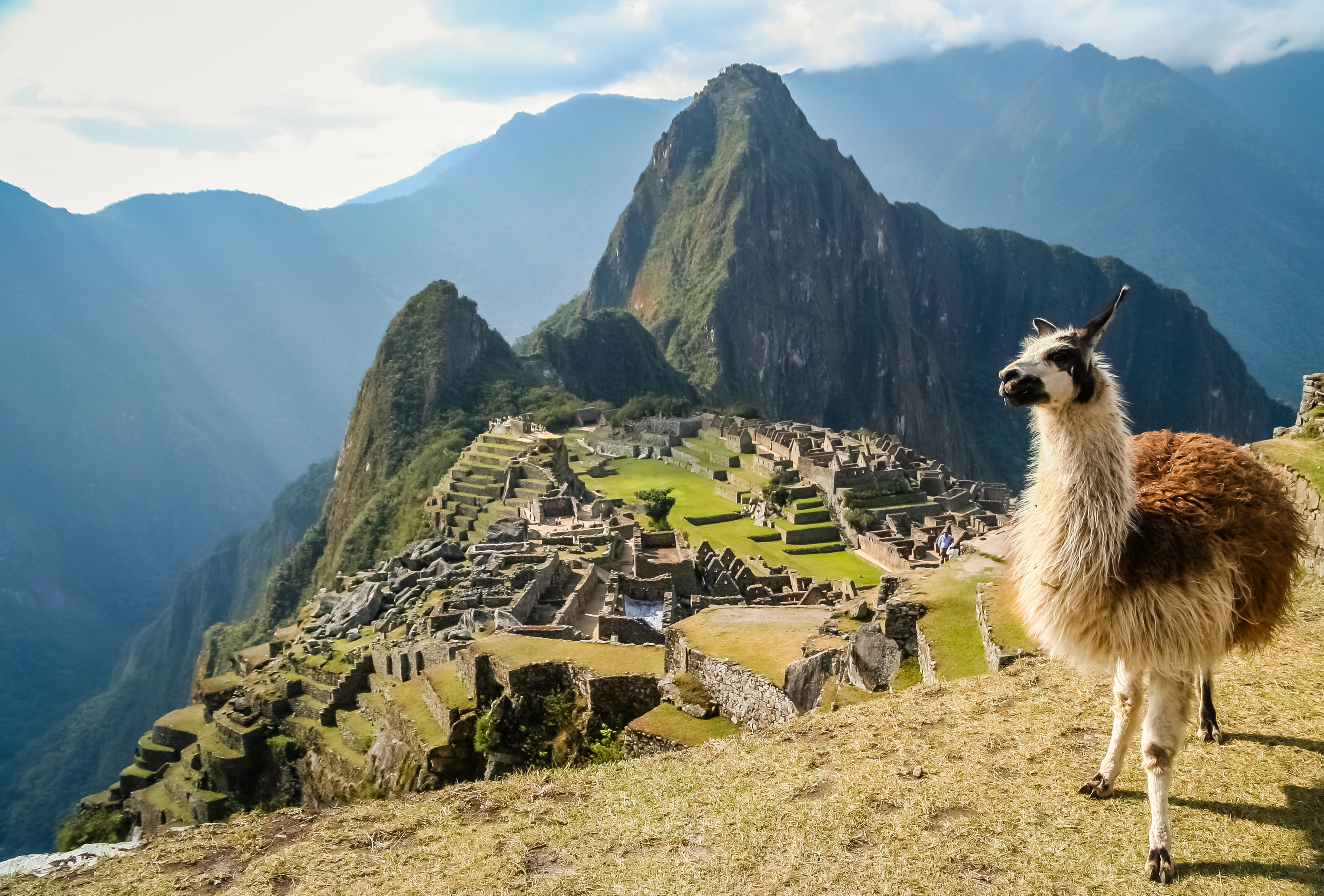 Peru_Machu Picchu with a llama