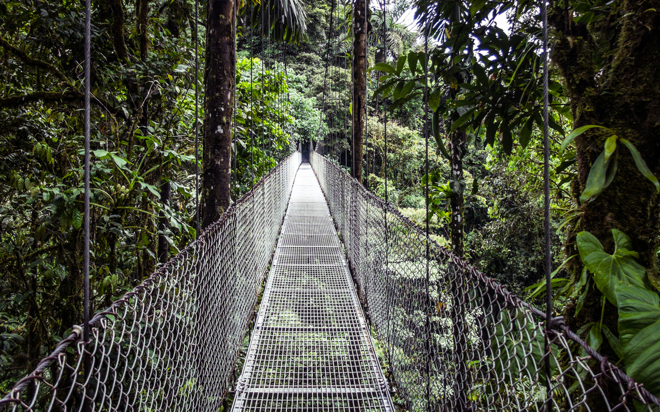 Jungle Bridge, La Fortuna Waterfall Hike